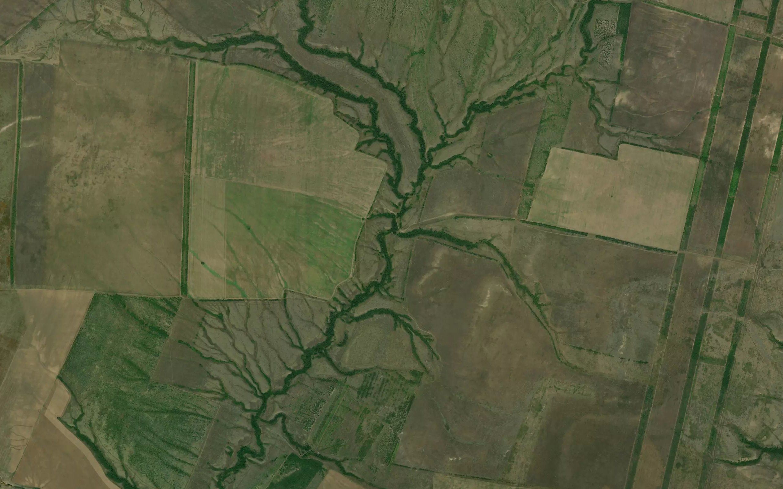 Balka Dubovaya