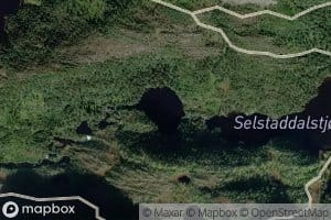 Stubbtjorna