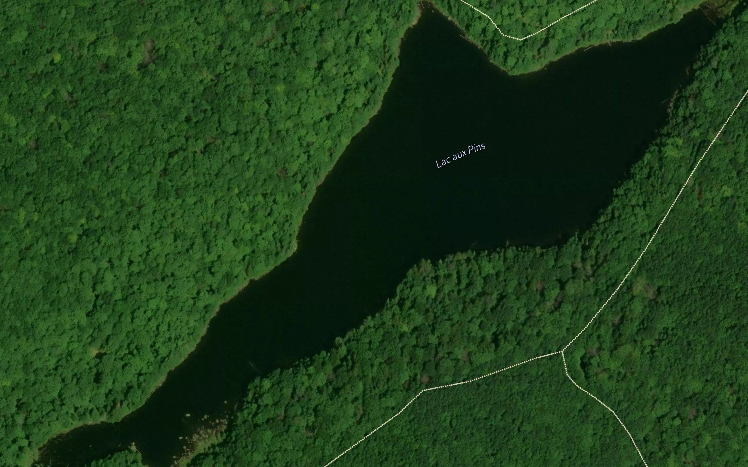 Lac aux Pins