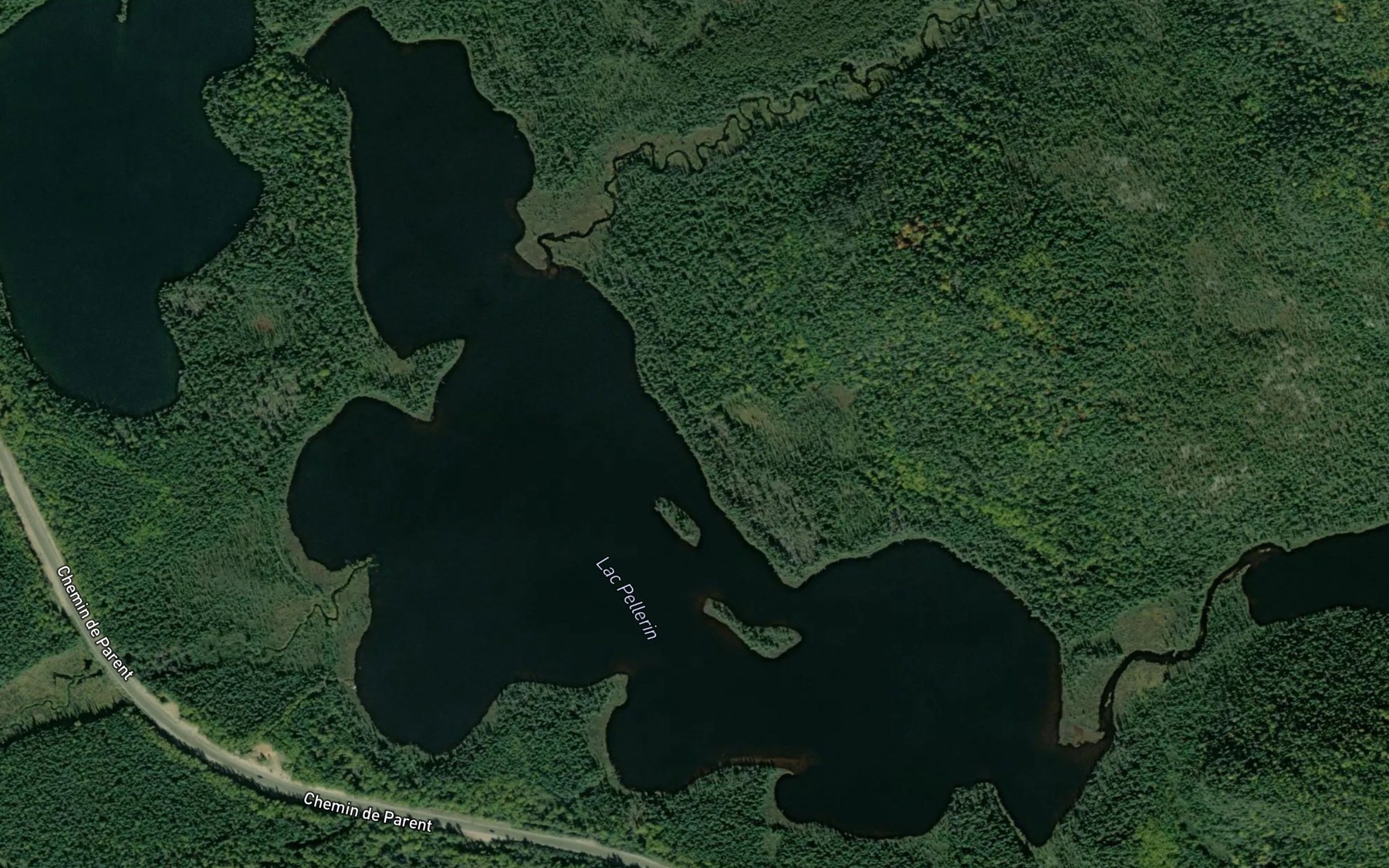 Satellite map of the Lac Pellerin
