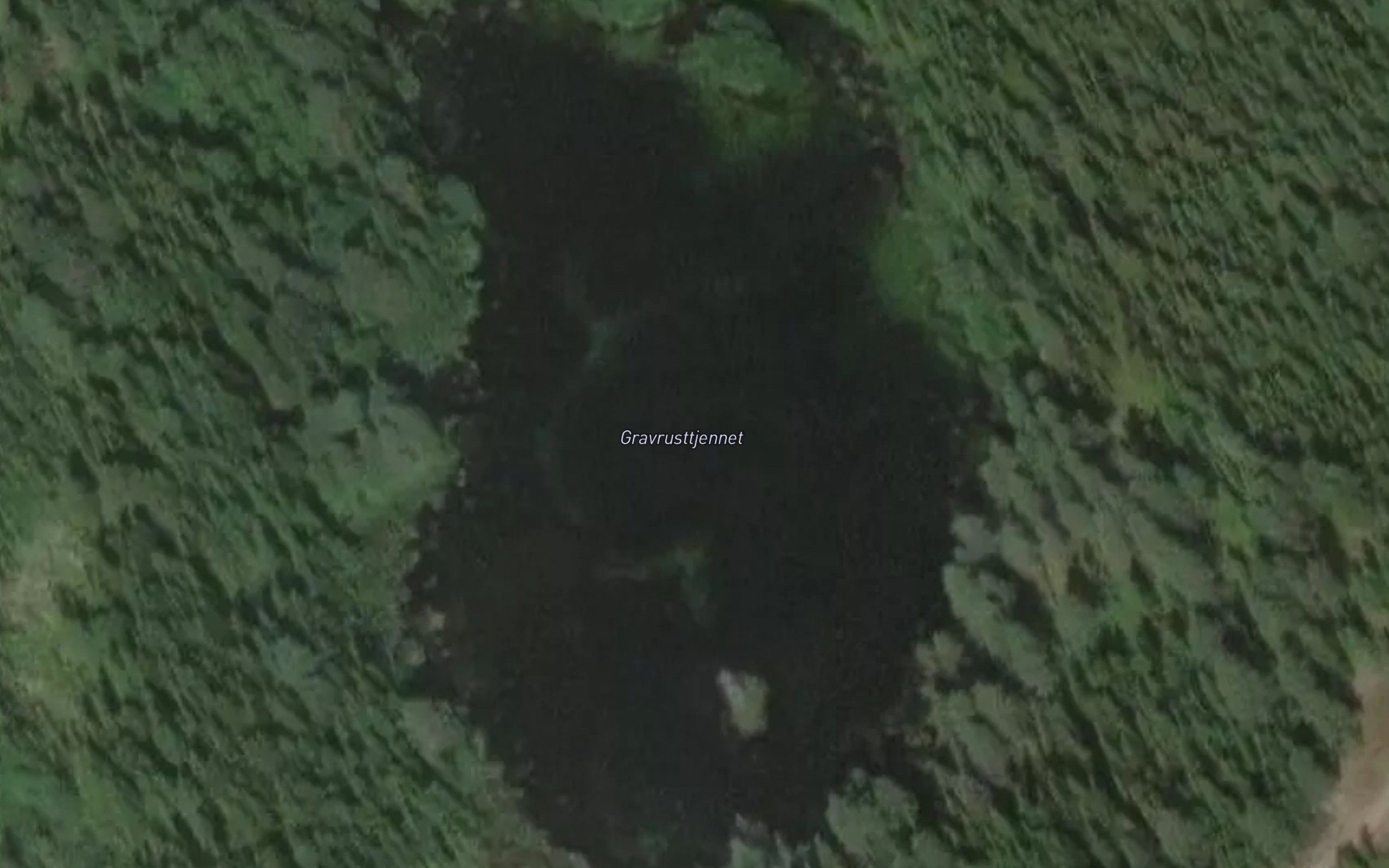 Gravrusttjernet