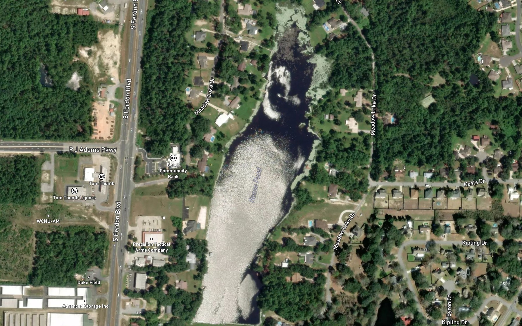 Satellite map of the Clyde Reese Pond