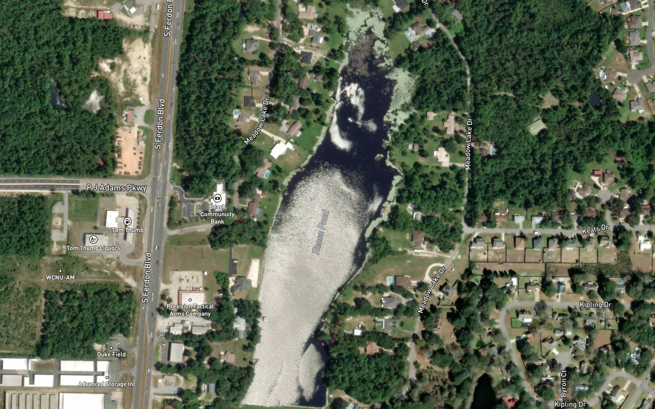 Clyde Reese Pond