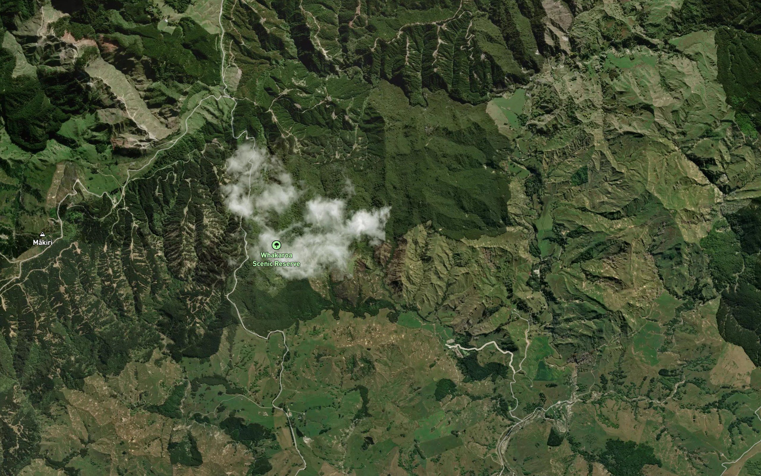 Kokakonui Stream