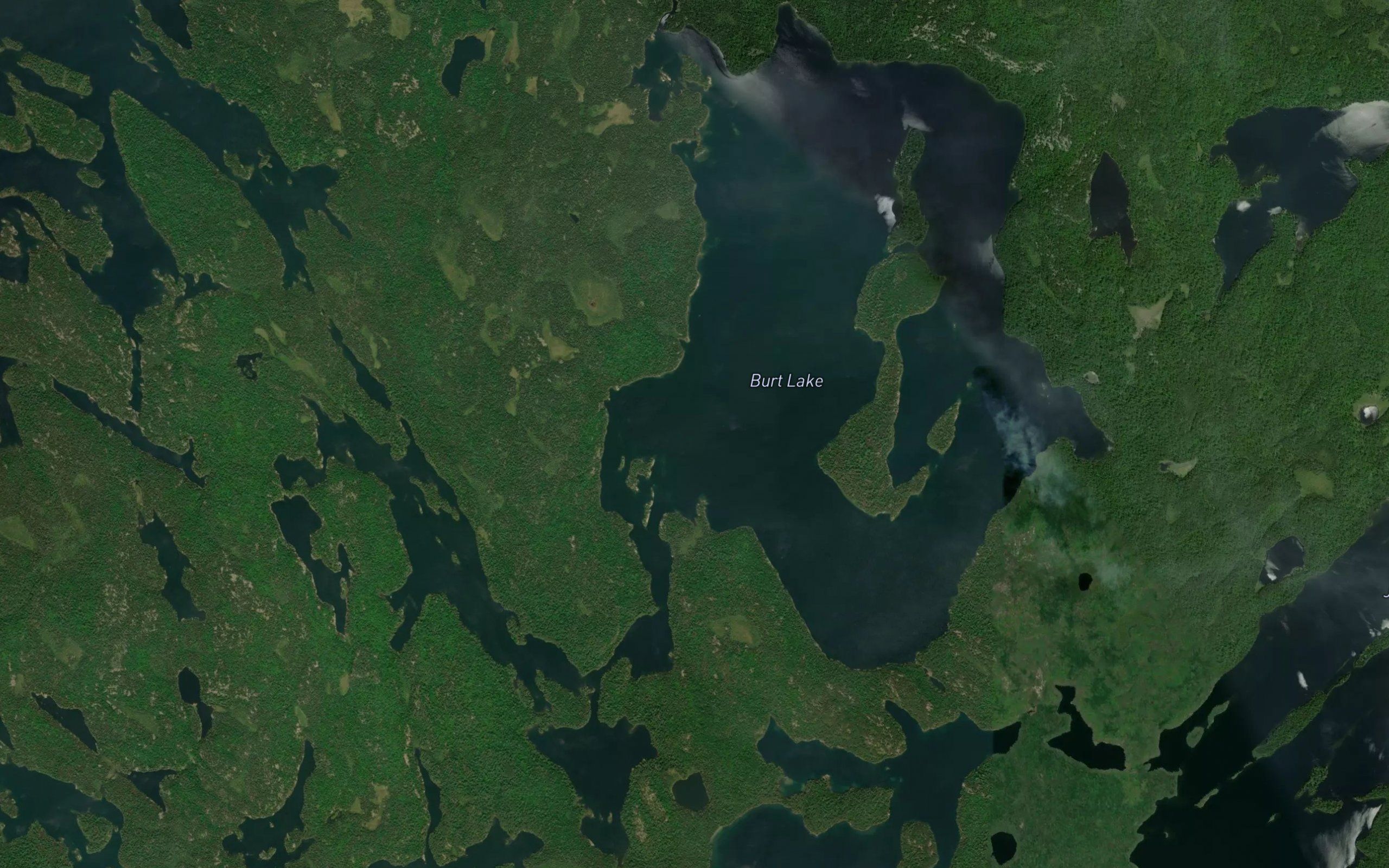 Burt Lake