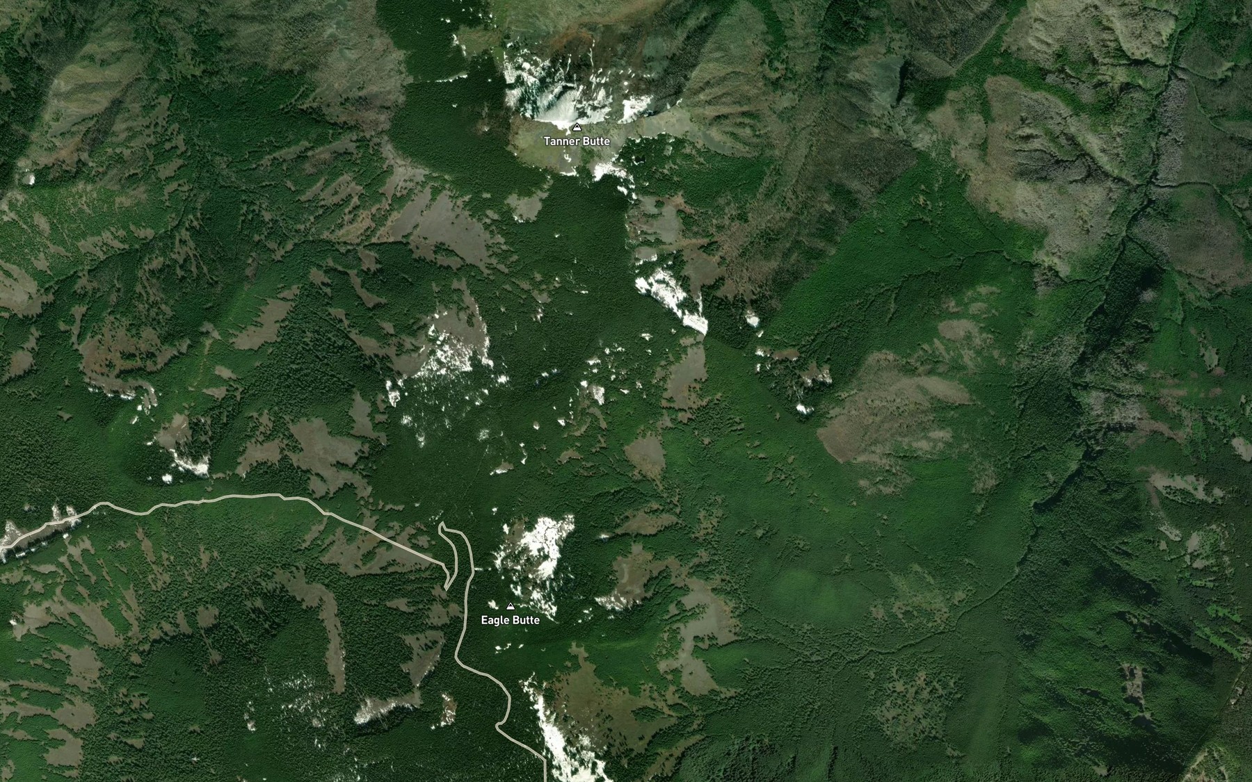 Satellite map of the Thrush Pond