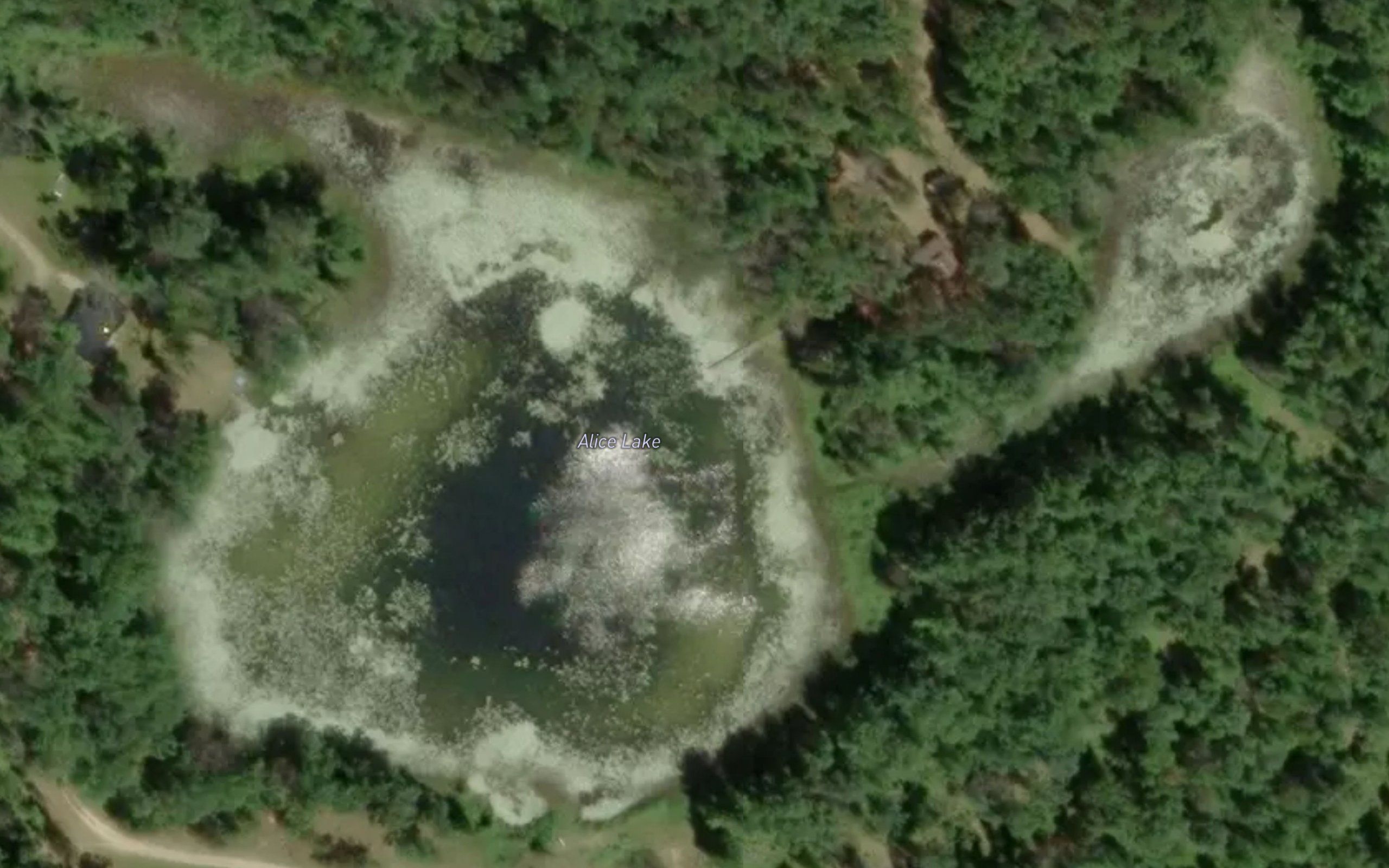 Alice Lake