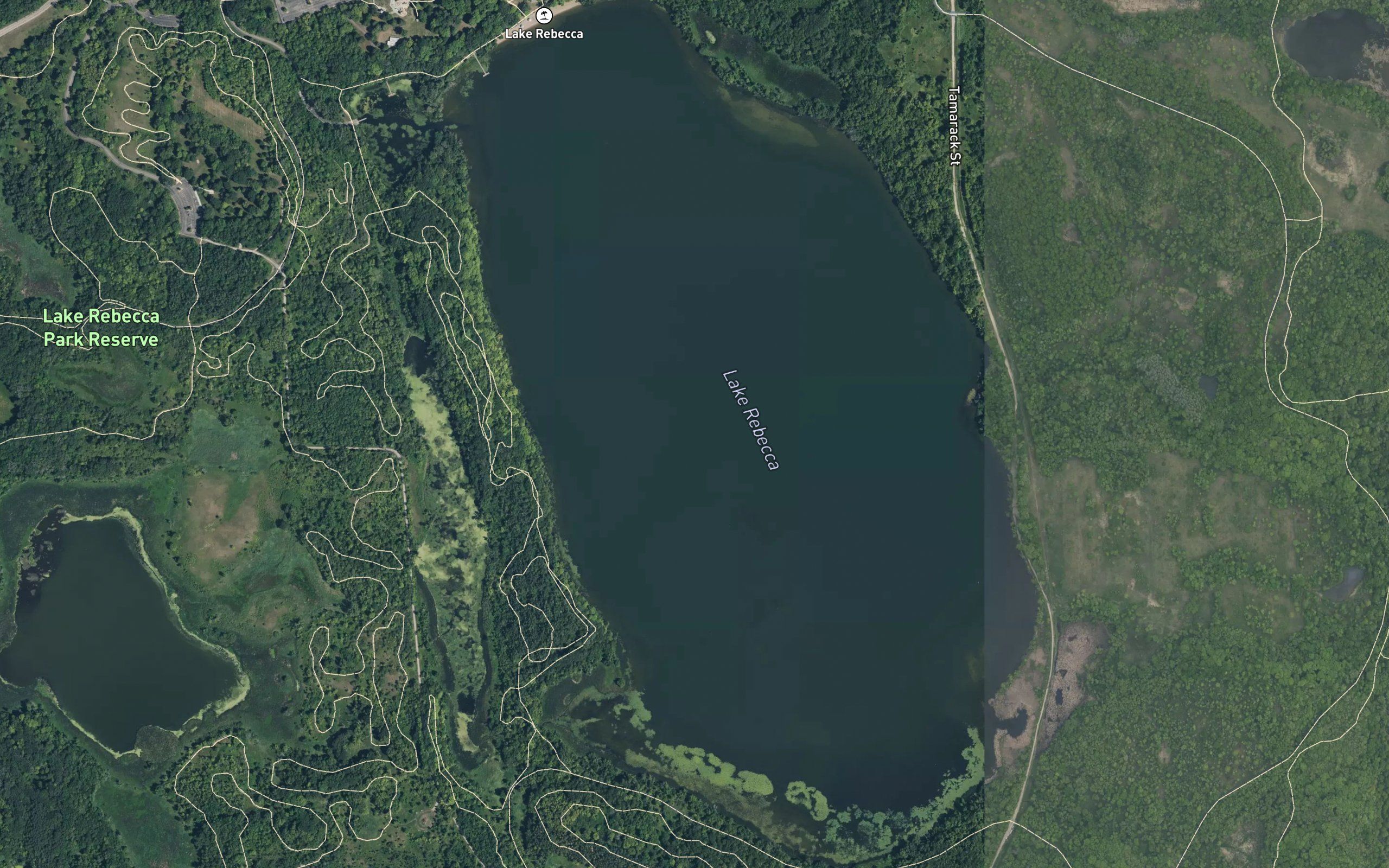 Lake Rebecca