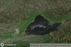 Dyrestjorn