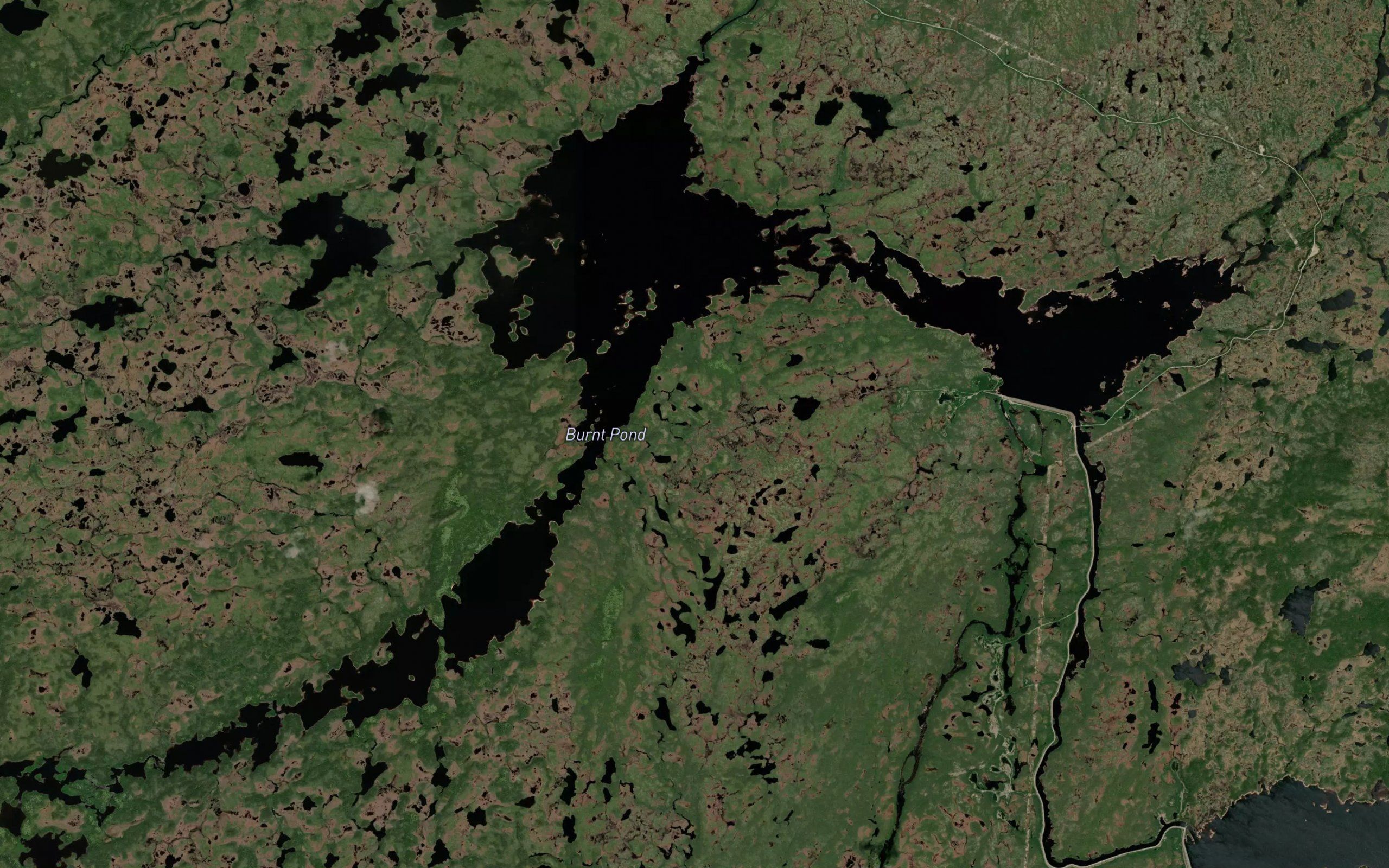 Burnt Pond