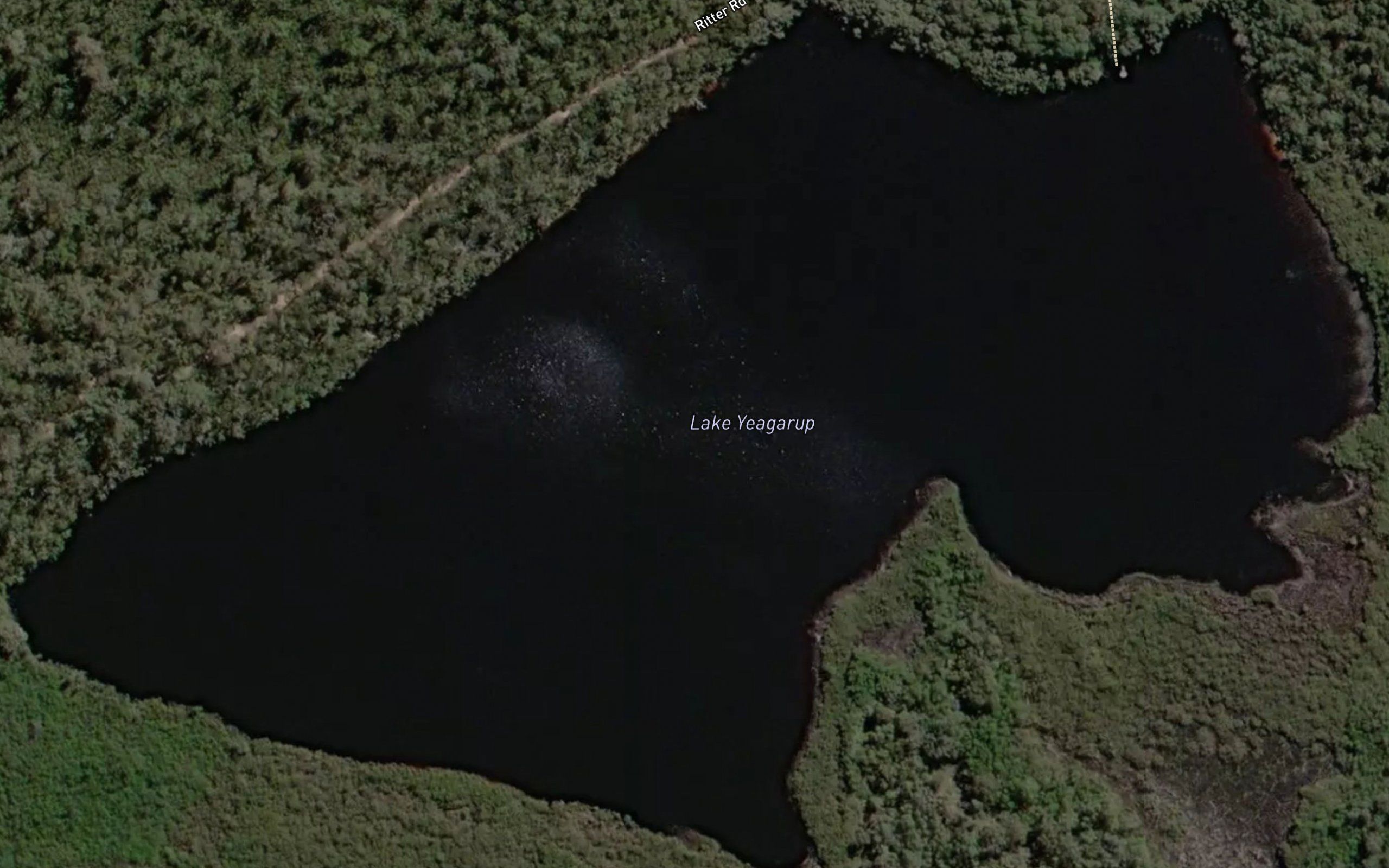 Lake Yeagarup