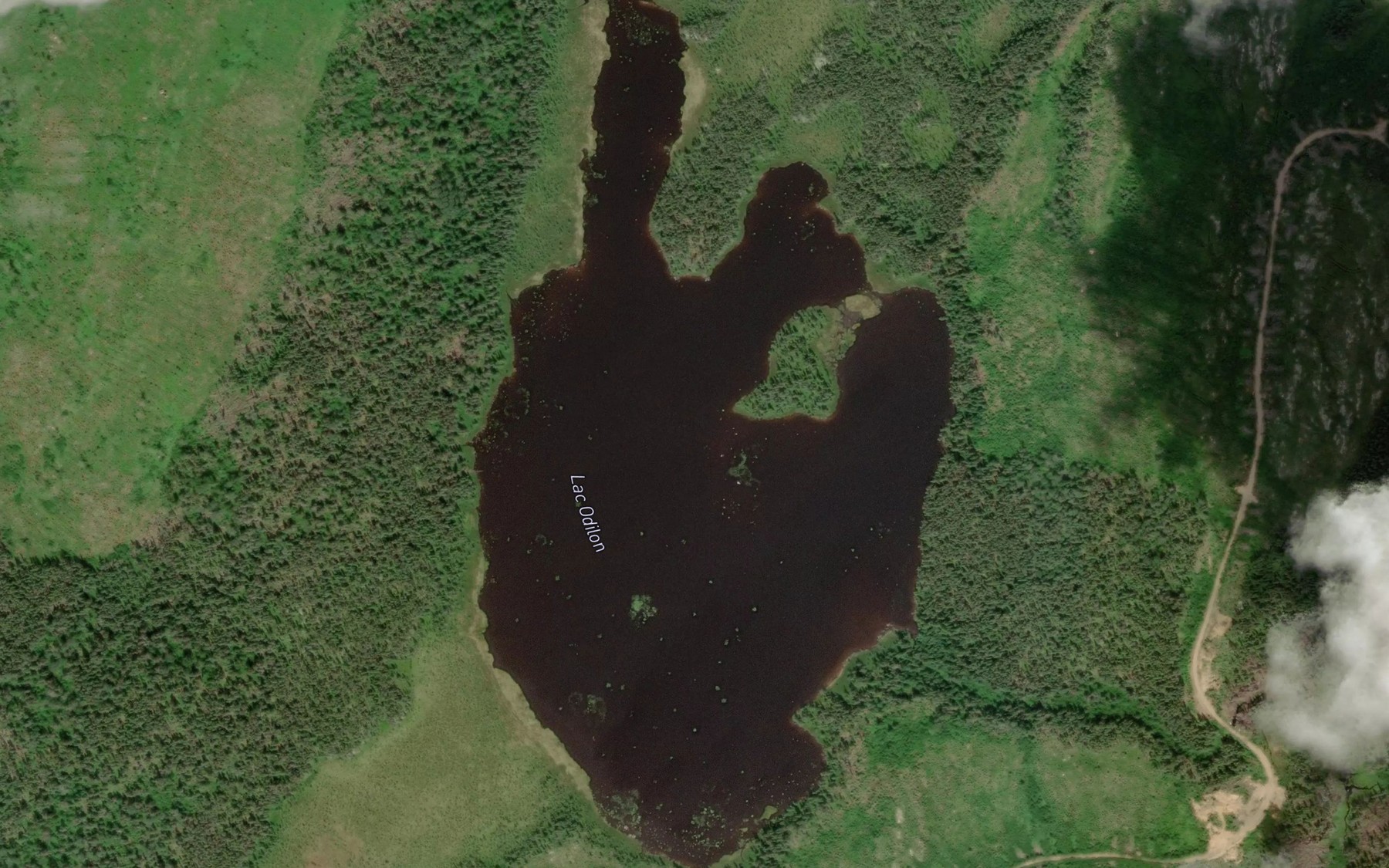 Satellite map of the Lac Odilon