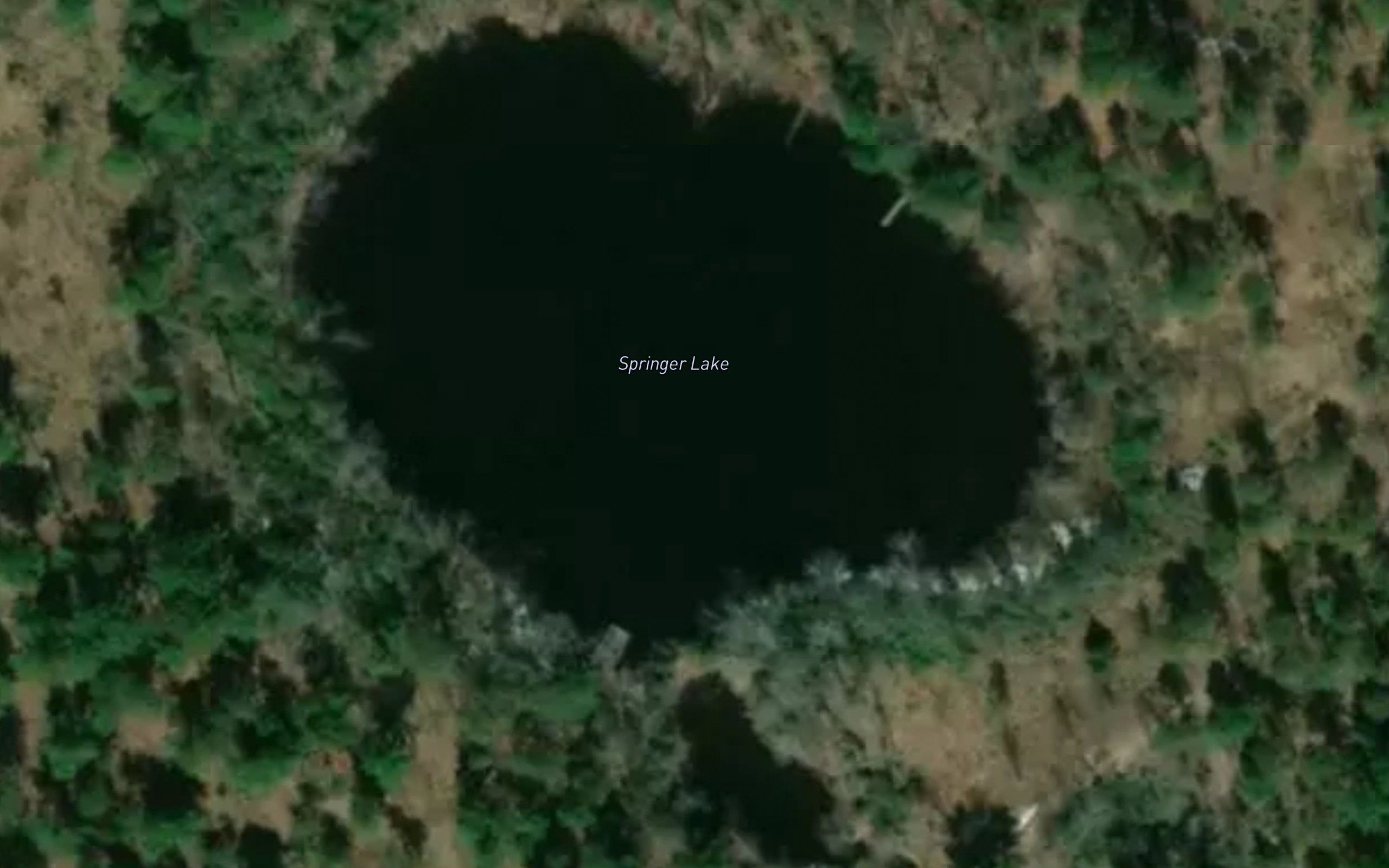 Springer Lake