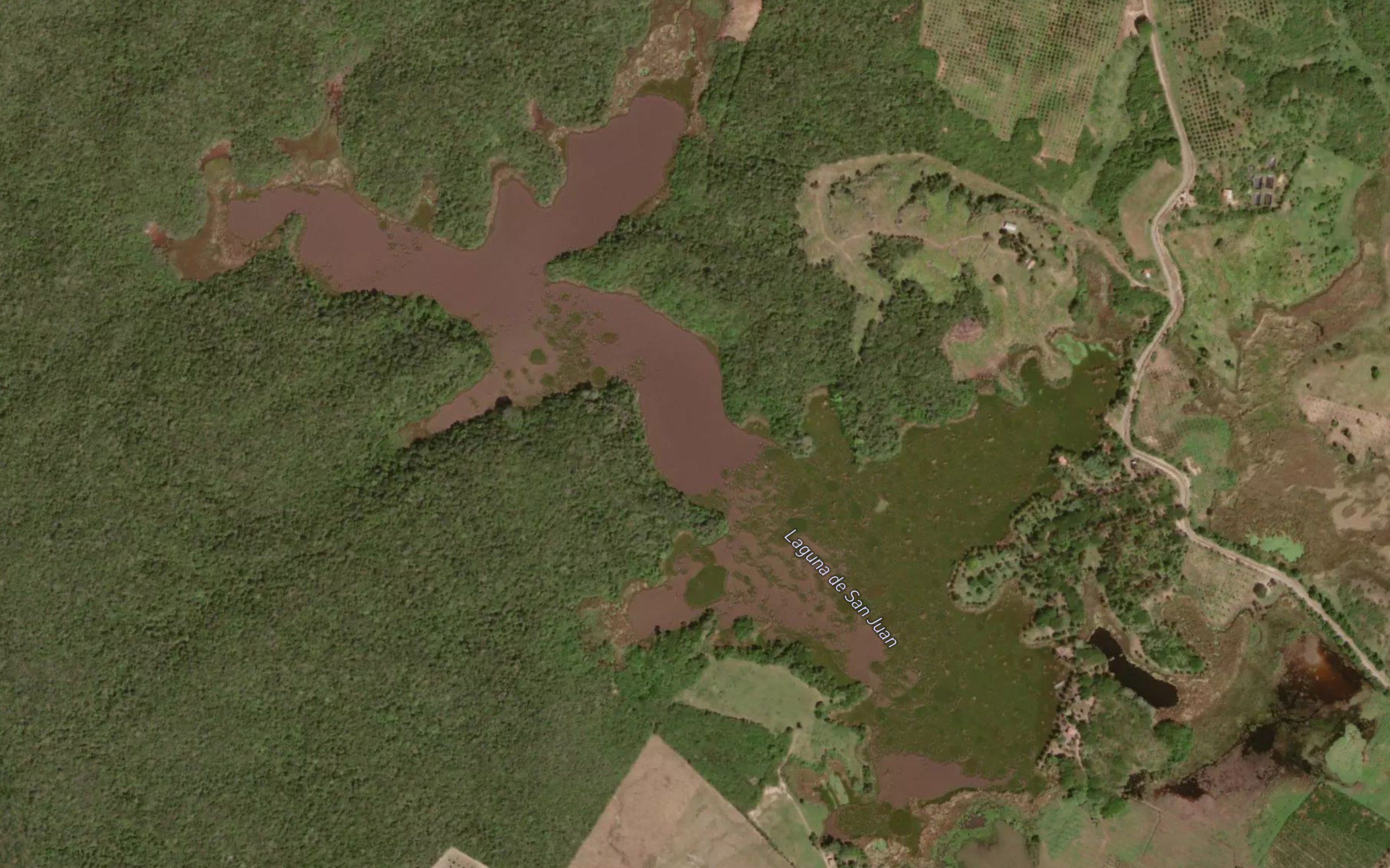 Laguna de San Juan
