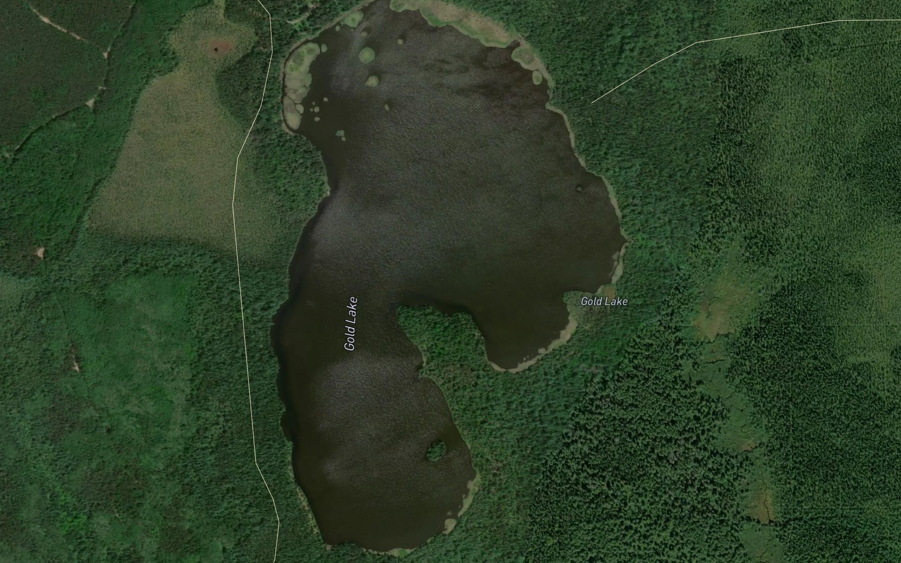 Satellite map of the Gold Lake