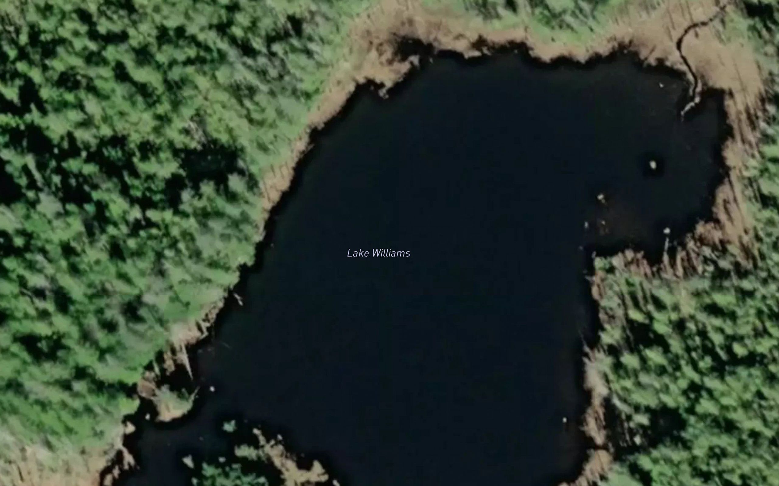 Lake Williams