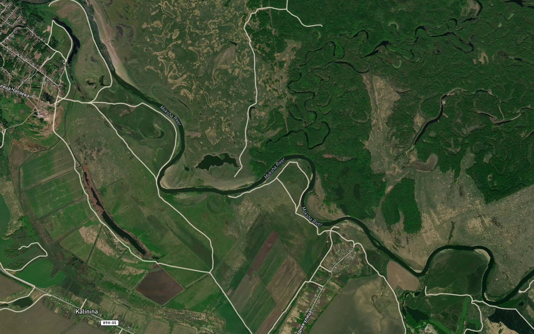 Satellite map of the Mokshan'