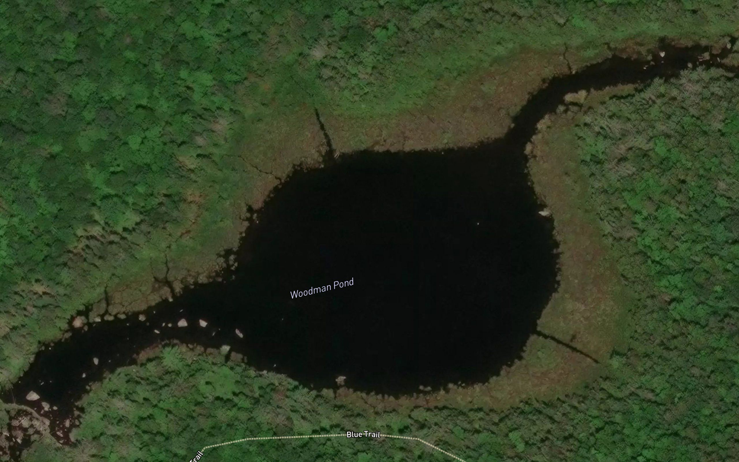 Woodman Pond