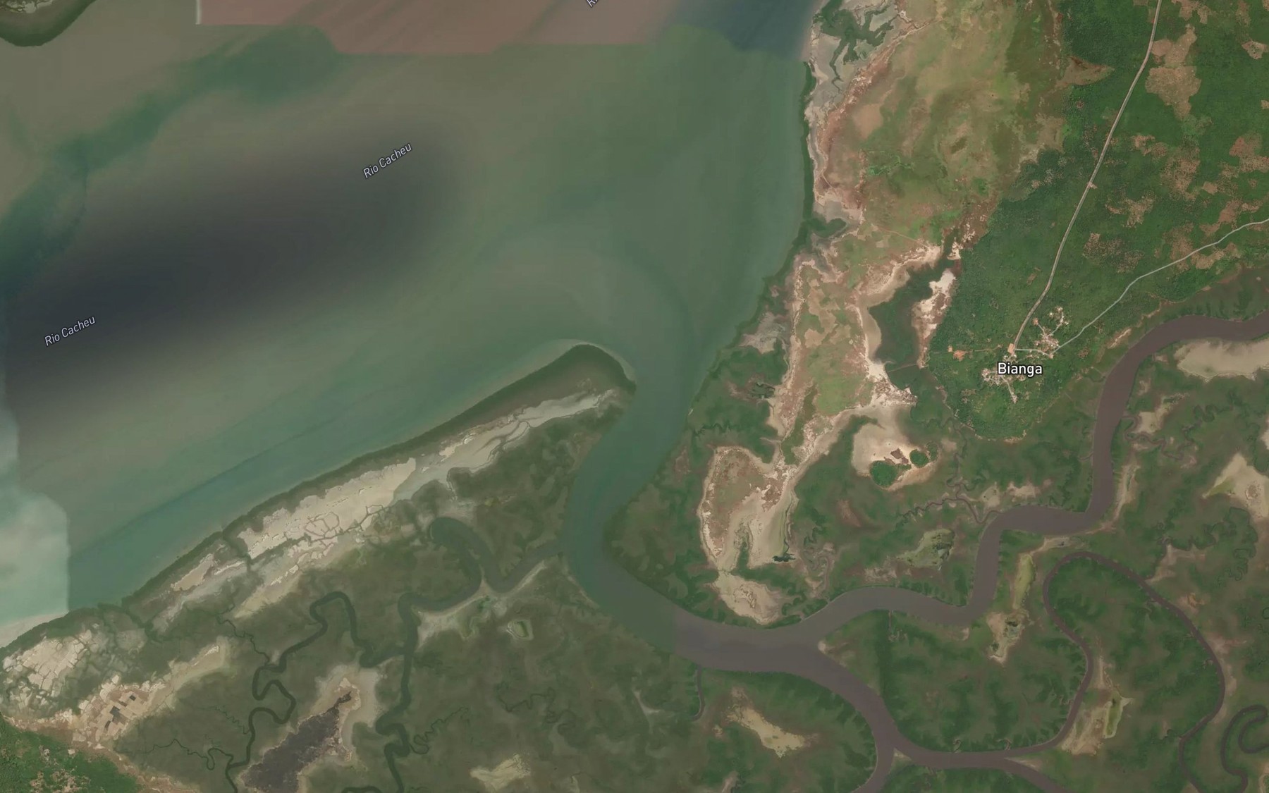 Satellite map of the Rio Costa