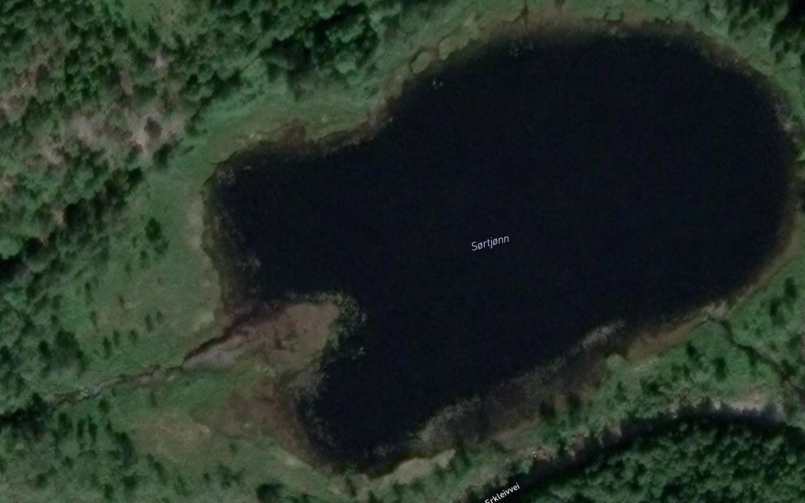 Sortjonn