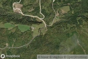 Brandy Brook