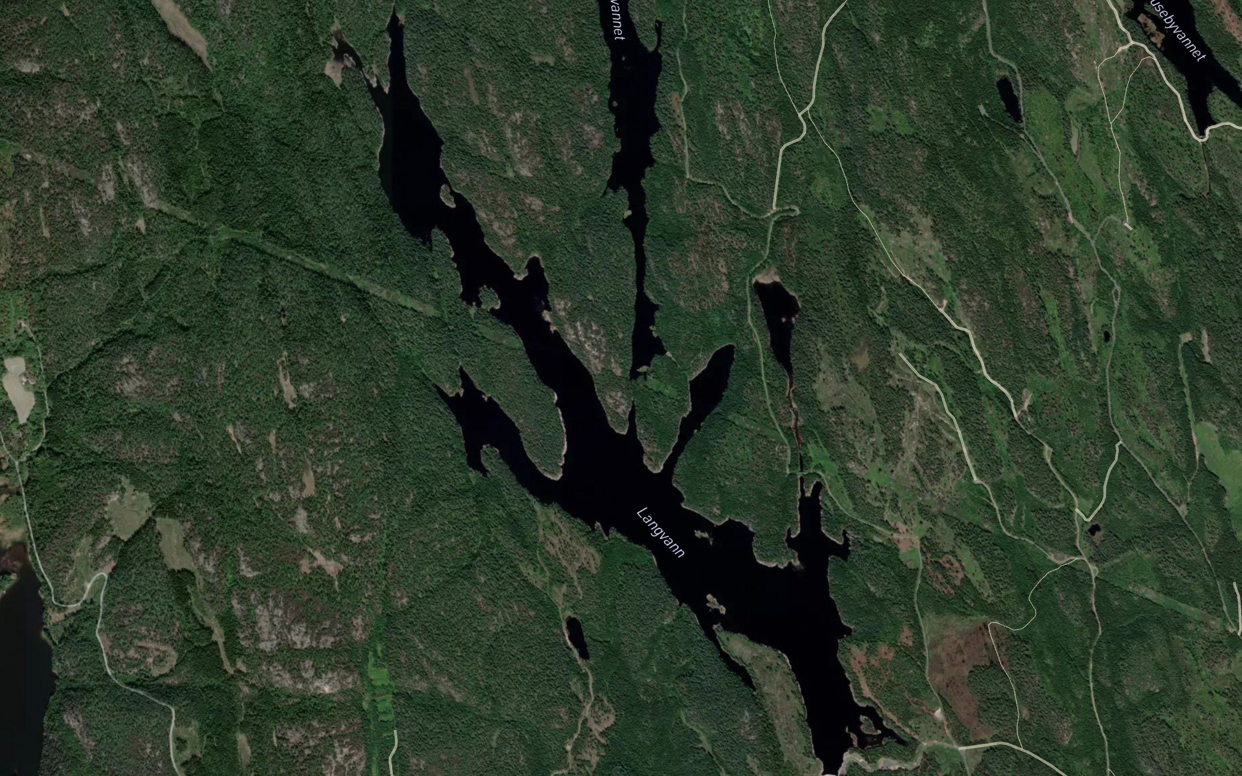 Langvann