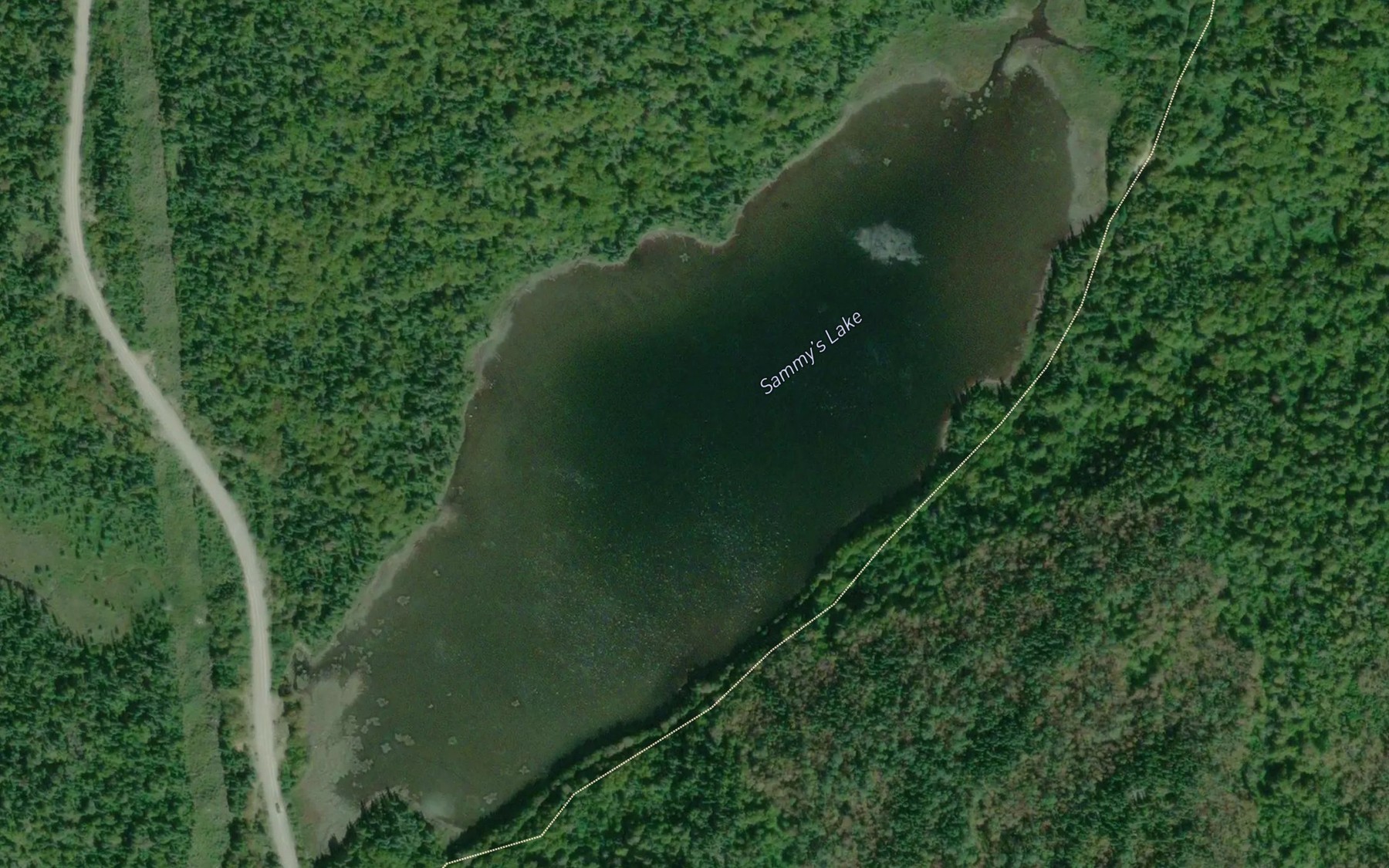 Satellite map of the Sammy's Lake