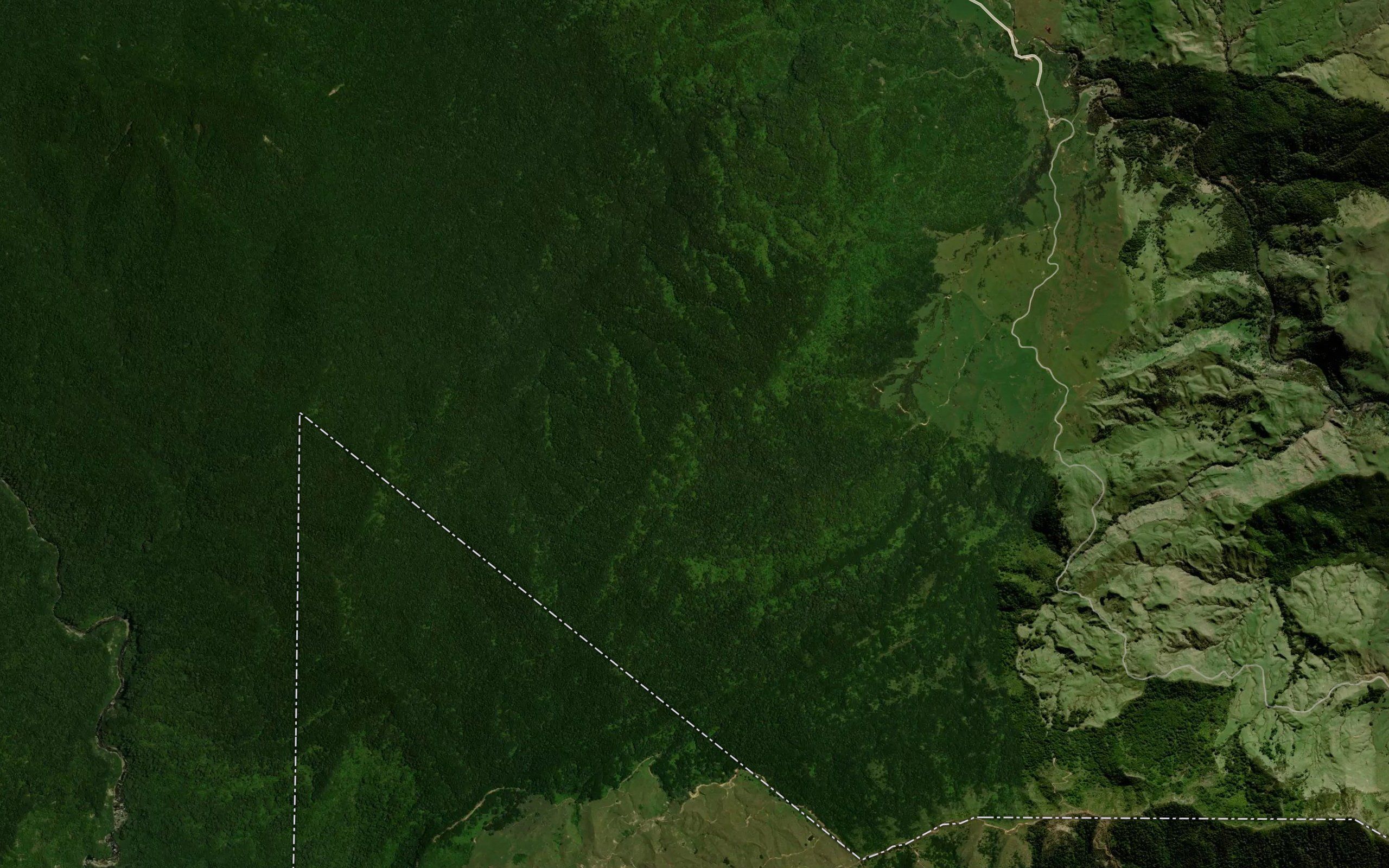 Mangapau Stream