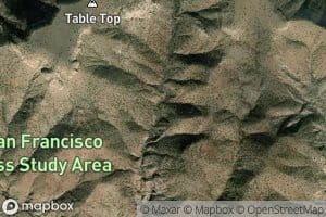 Table Top Spring