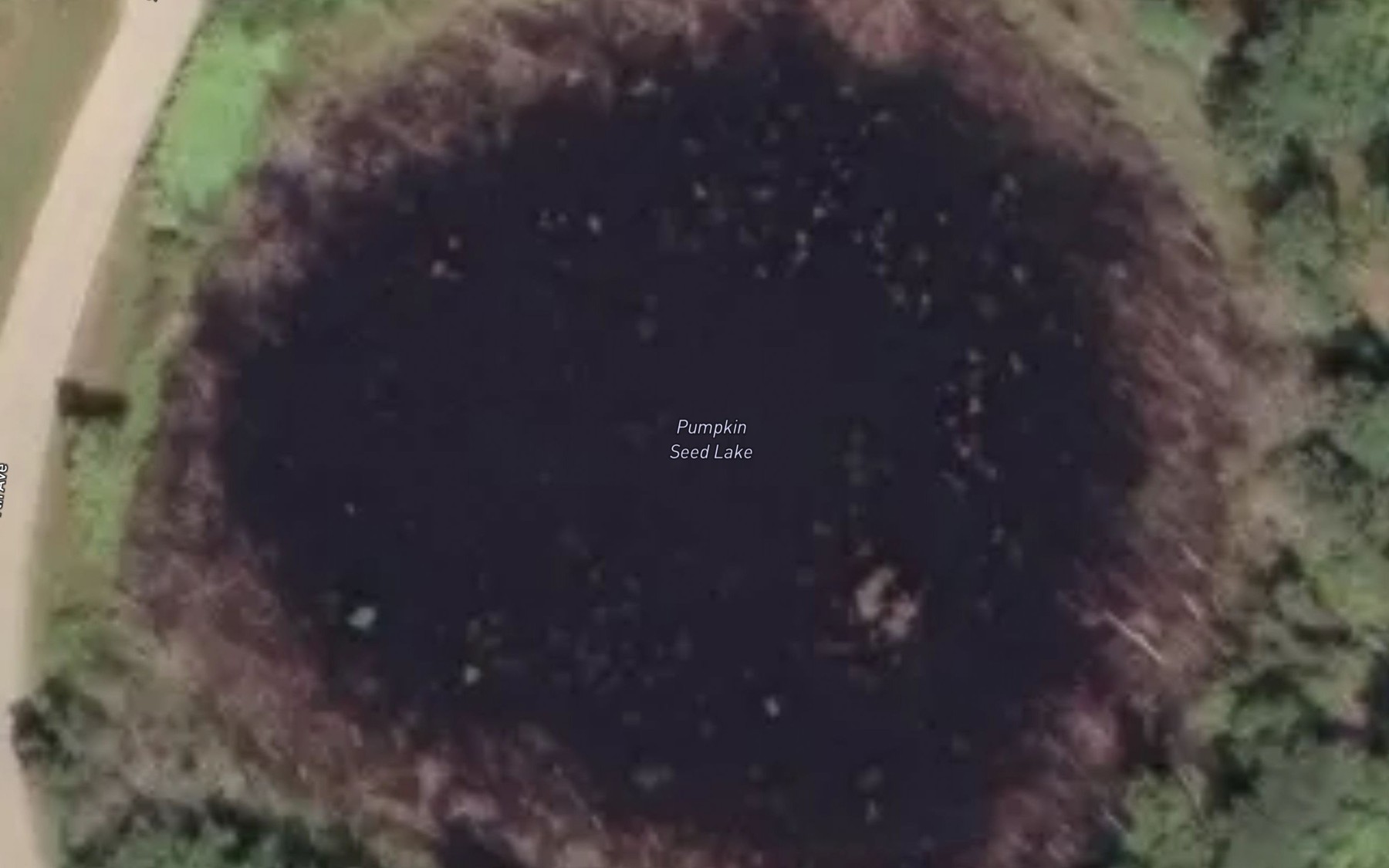Satellite map of the Pumpkin Seed Lake