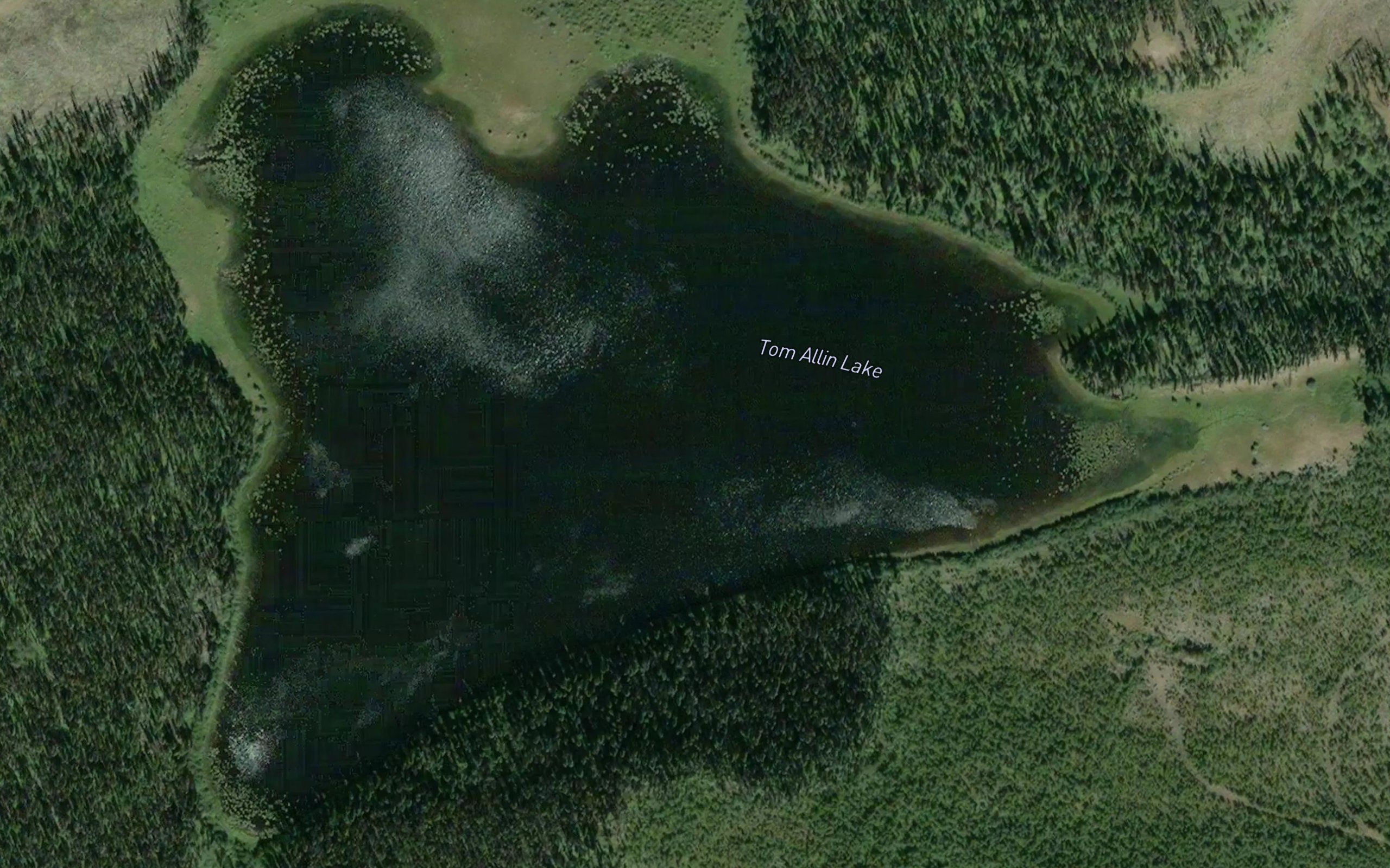 Tom Allin Lake