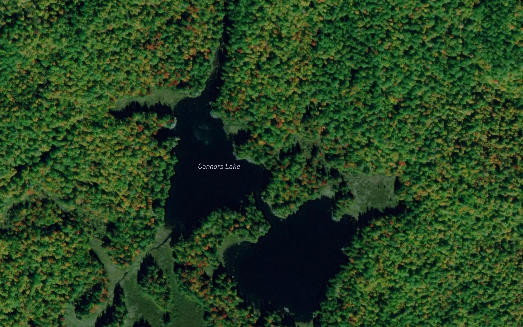 Satellite map of the Connors Lake