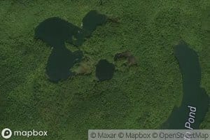 Little Rock Pond