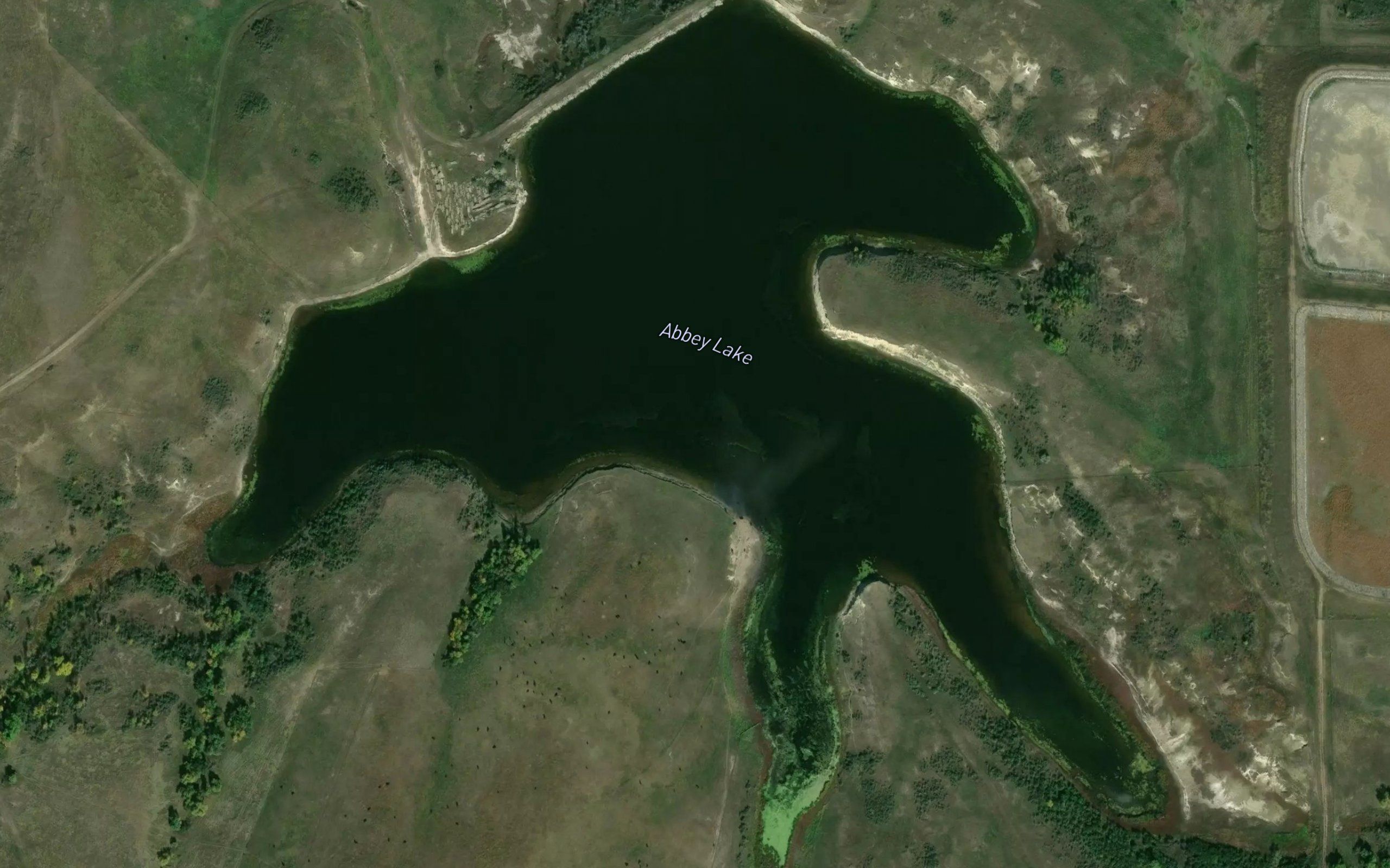 Abbey Lake