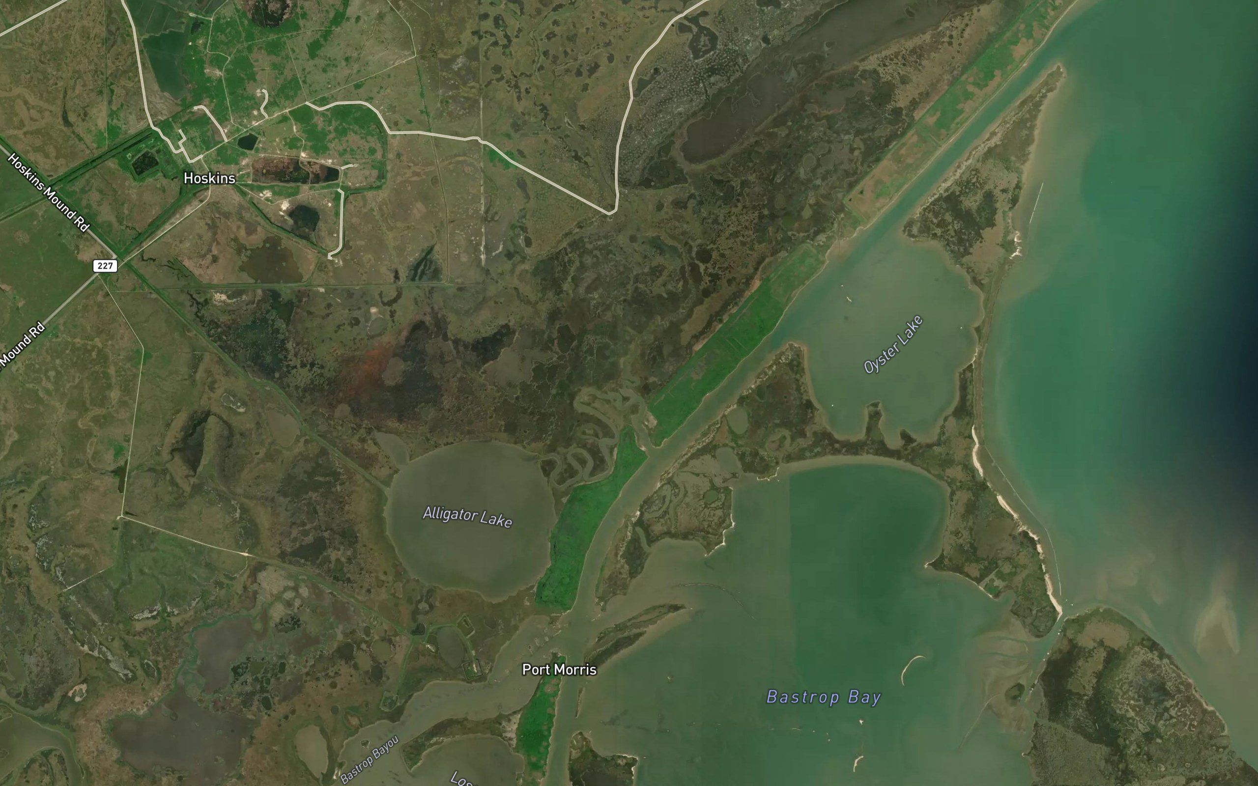 Alligator Slough