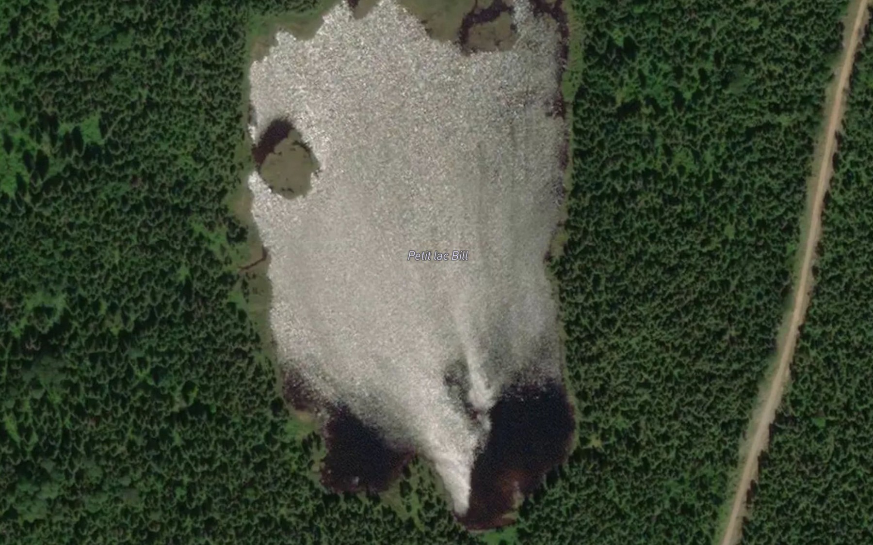 Satellite map of the Petit lac Bill