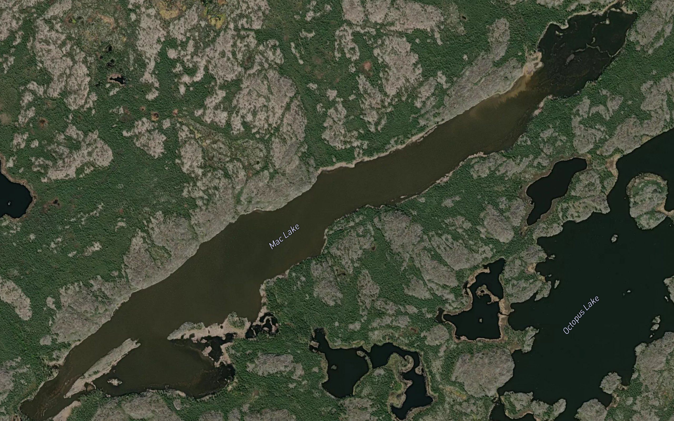 Mac Lake