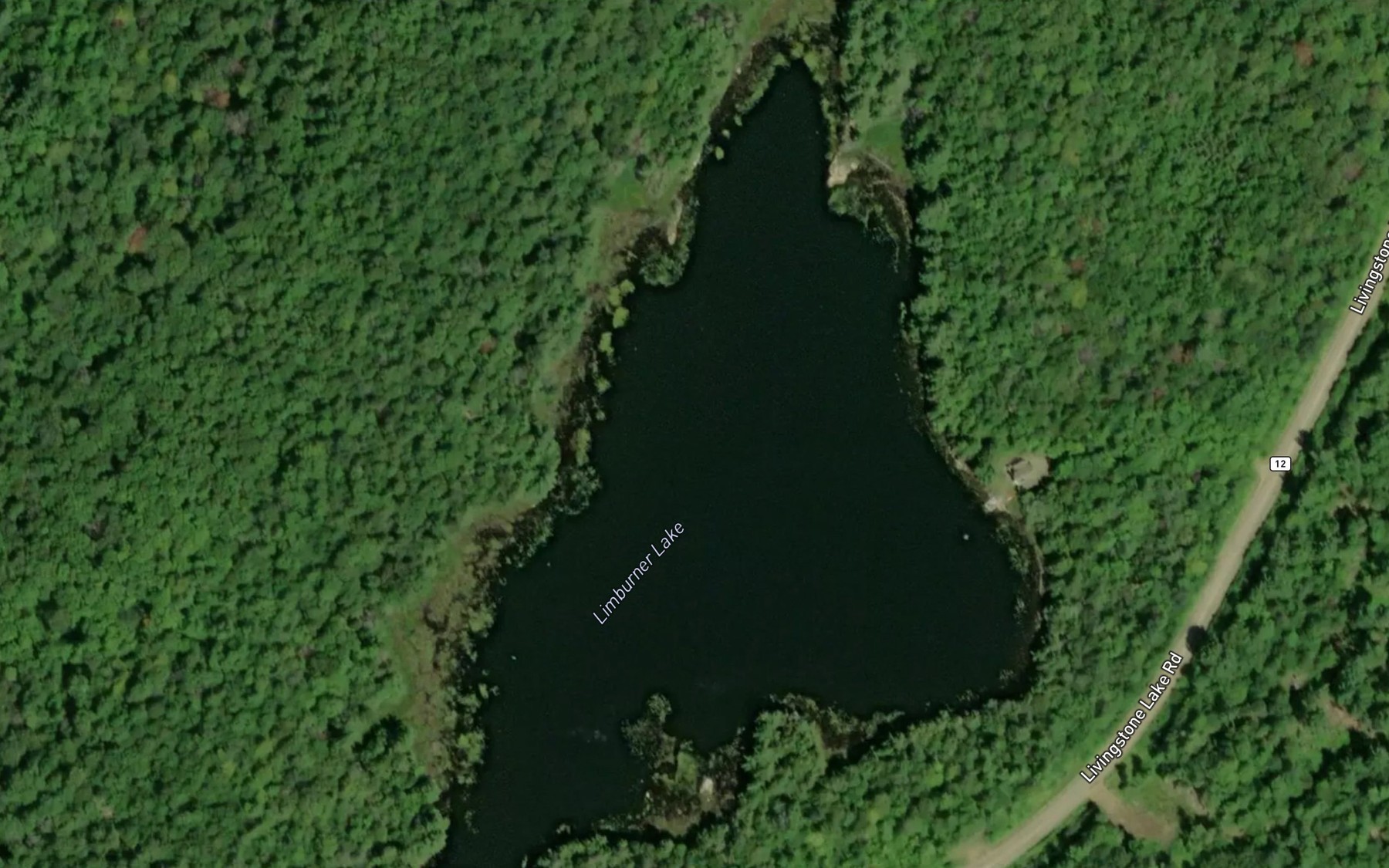 Satellite map of the Limburner Lake