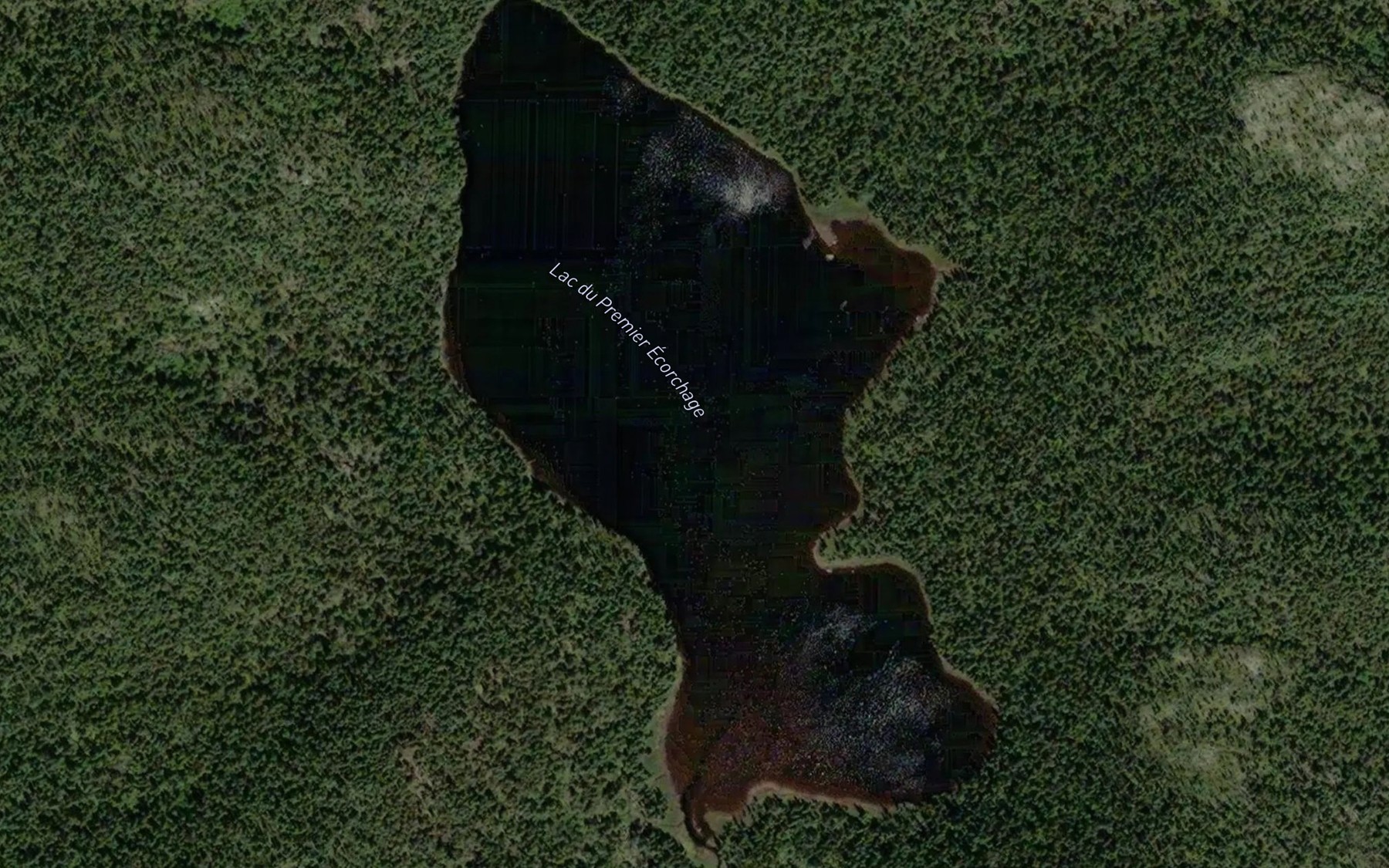 Satellite map of the Lac du Premier Ecorchage