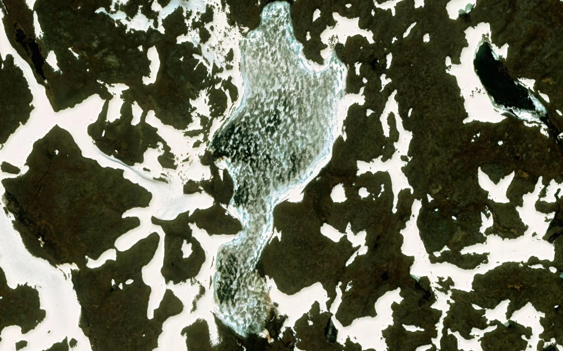 Satellite map of the Cuorvoncakkavuoljavri