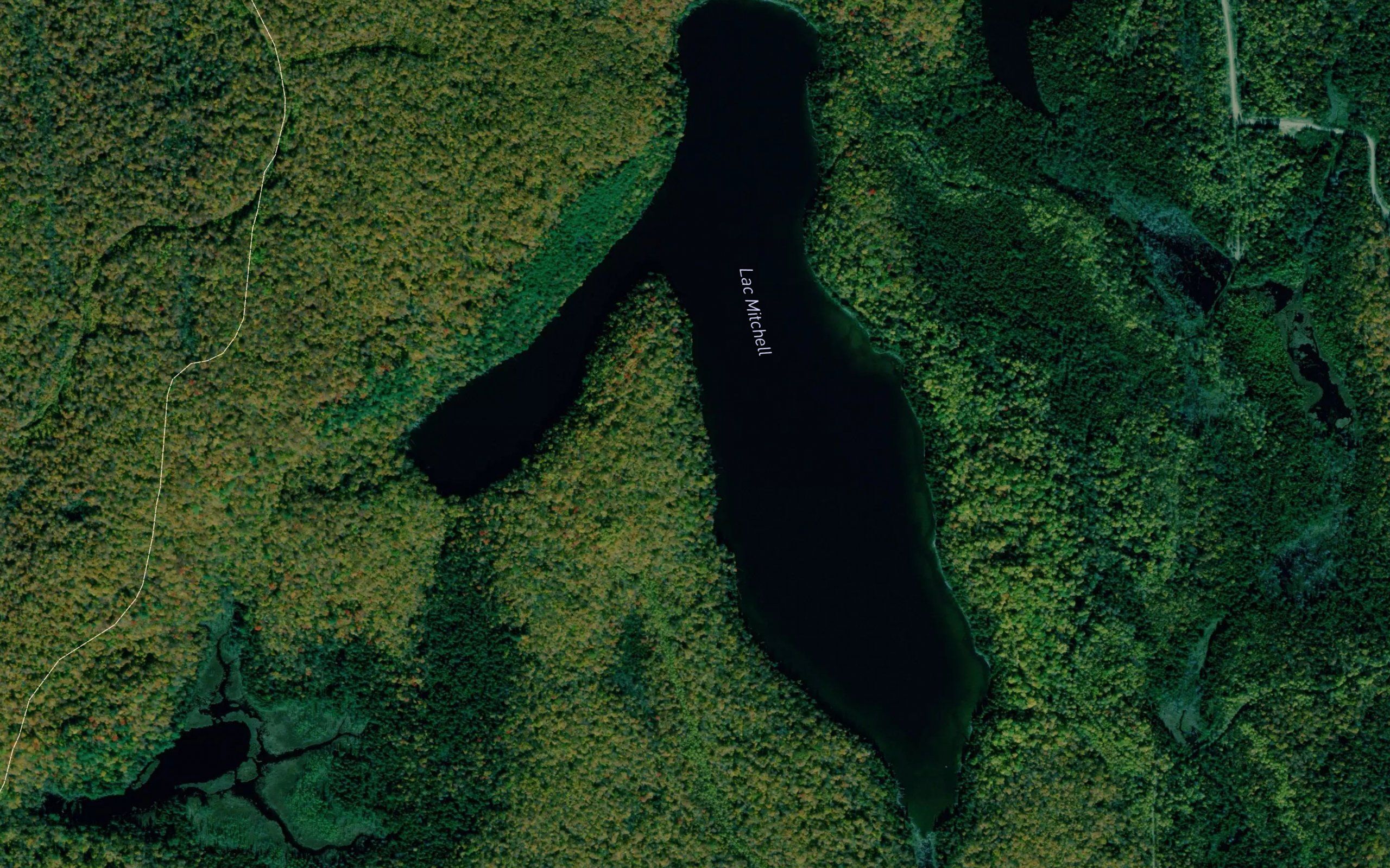Lac Mitchell