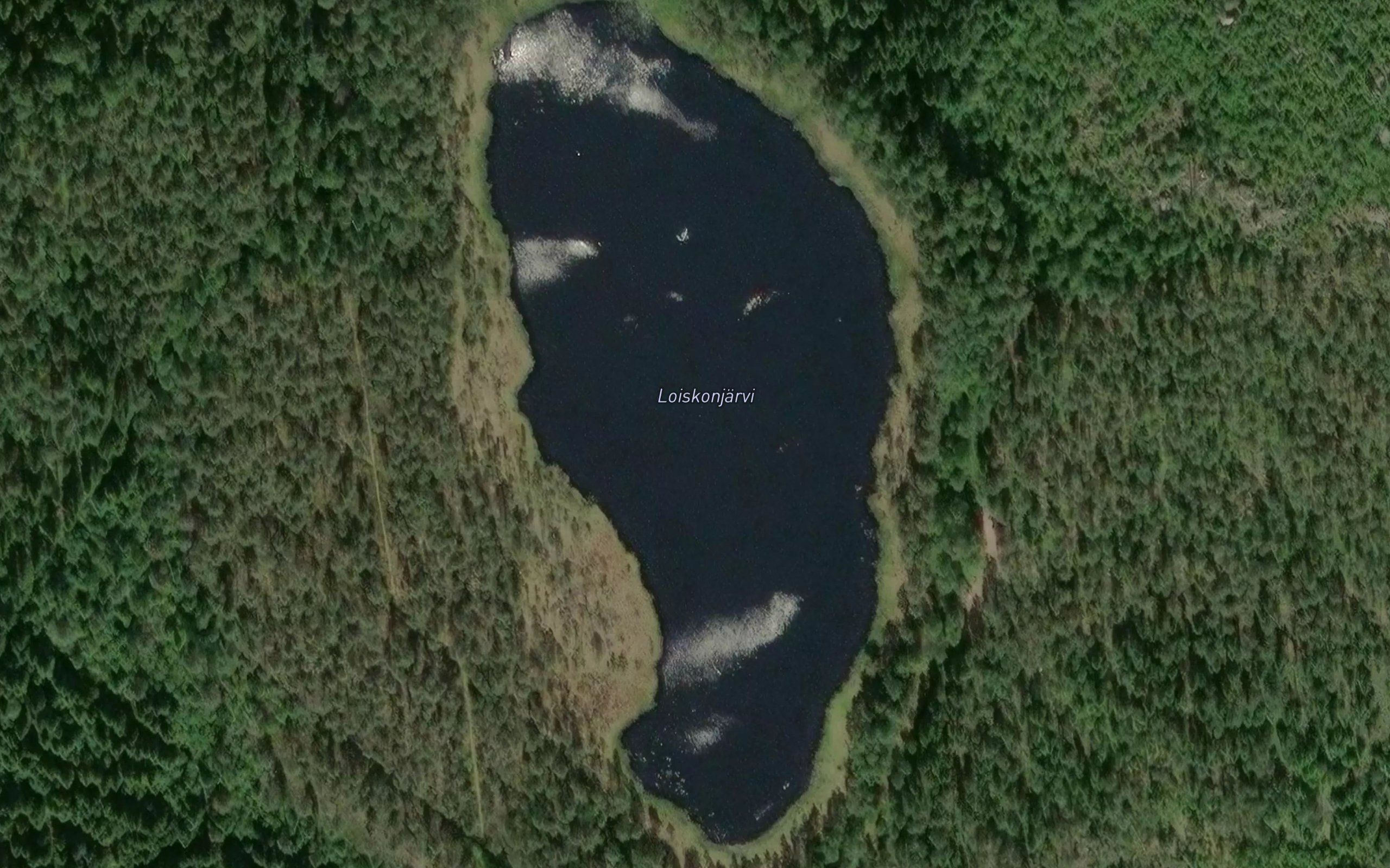 Loiskonjarvi
