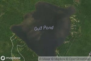 Gull Pond
