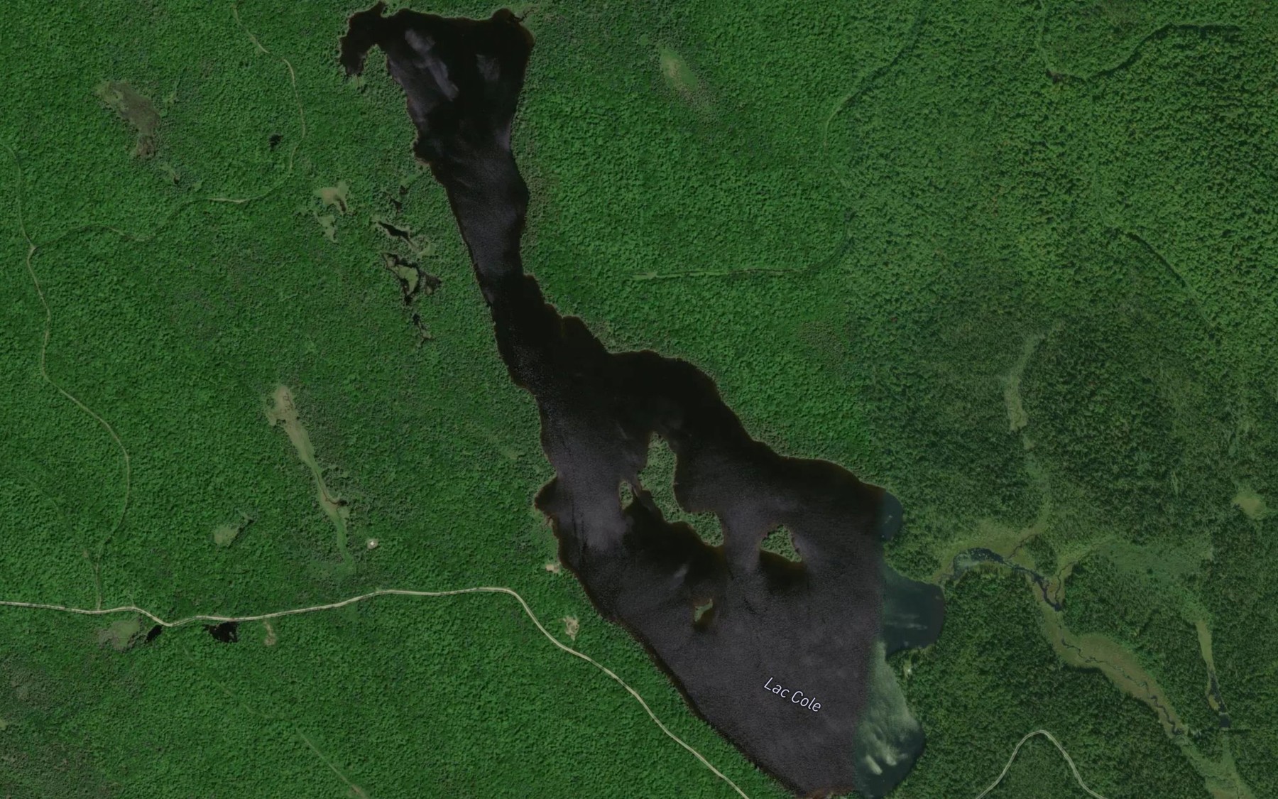 Satellite map of the Lac Cole