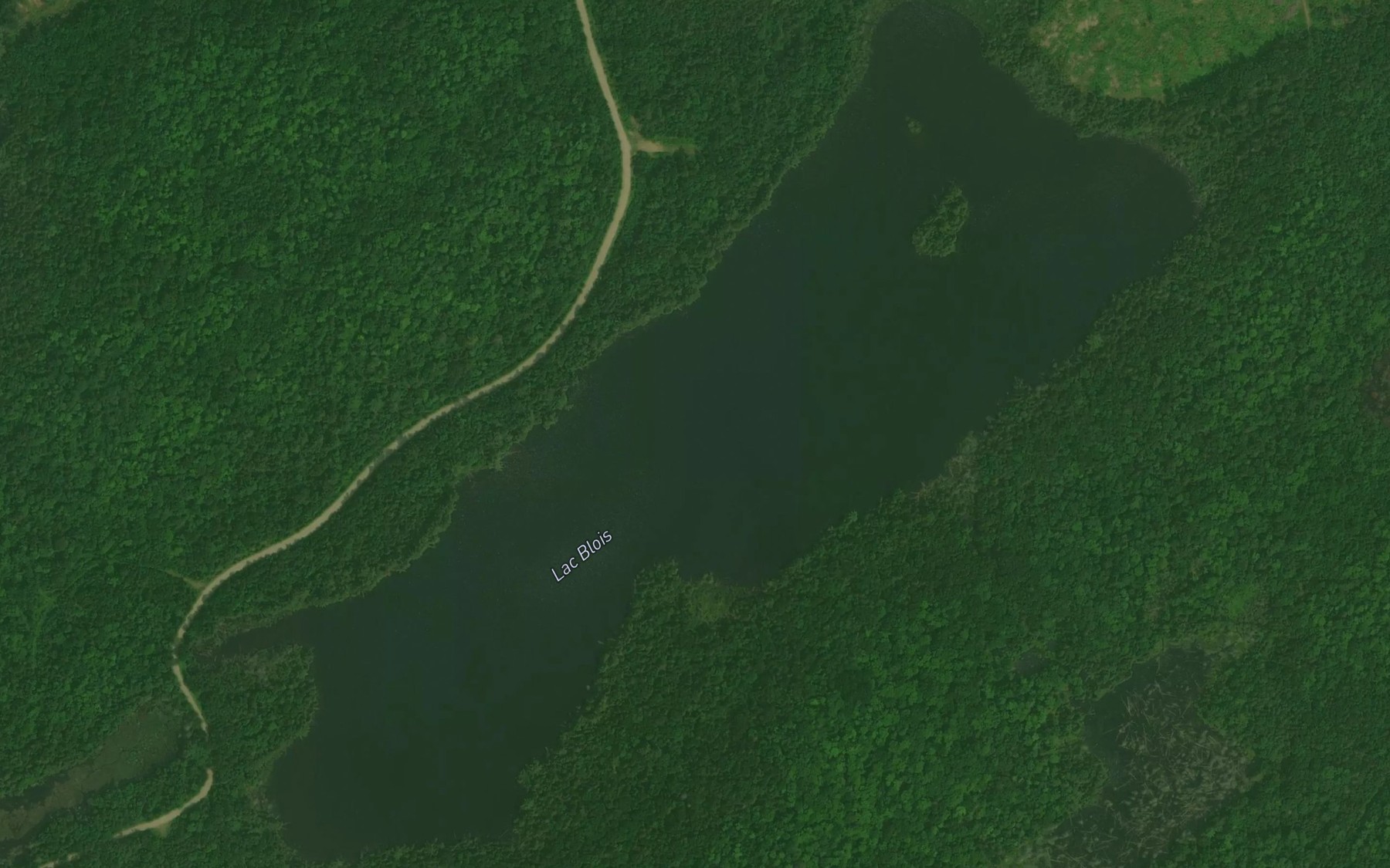 Satellite map of the Lac Blois