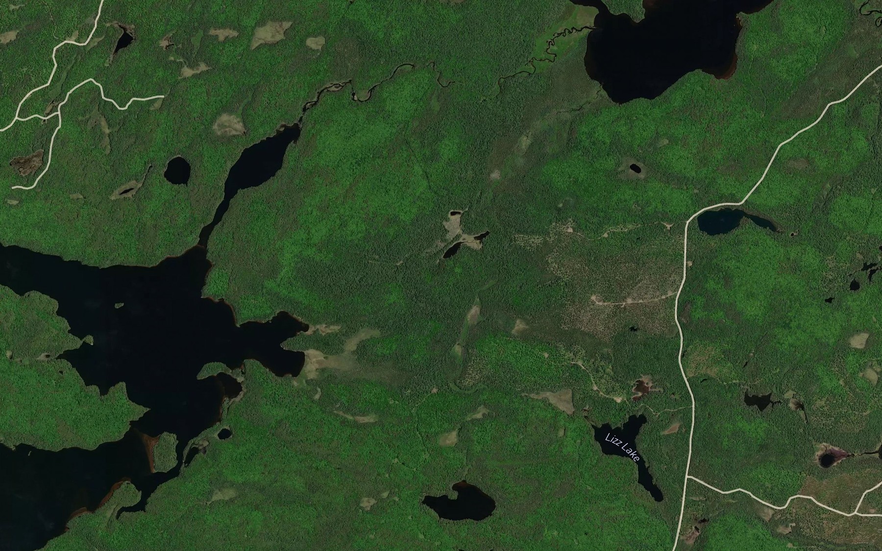 Satellite map of the Lizz Creek