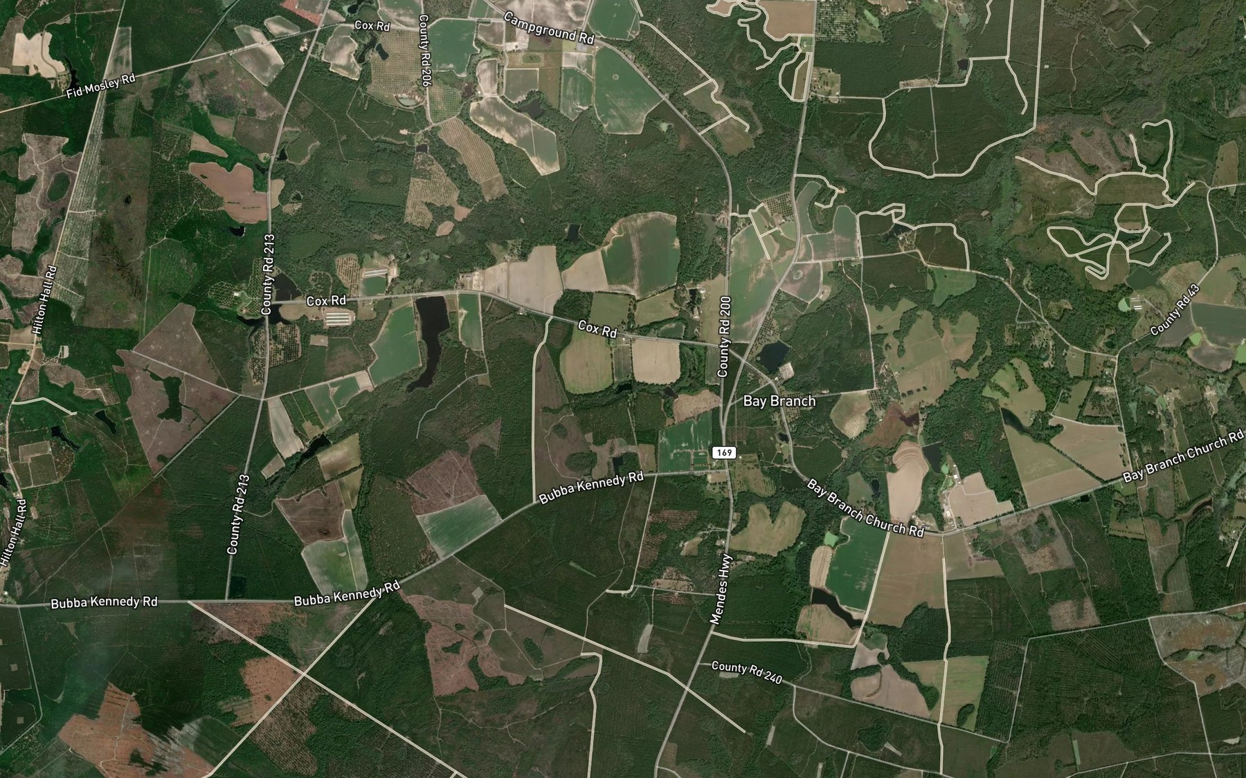 Satellite map of the Collins Pond