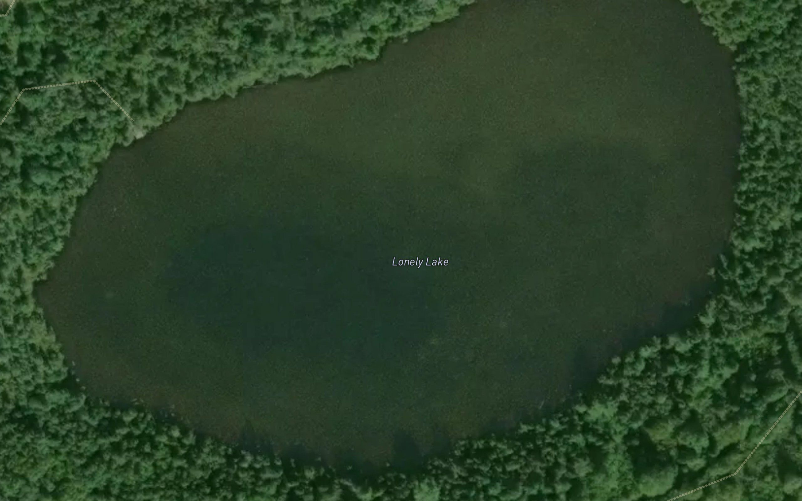 Lonely Lake