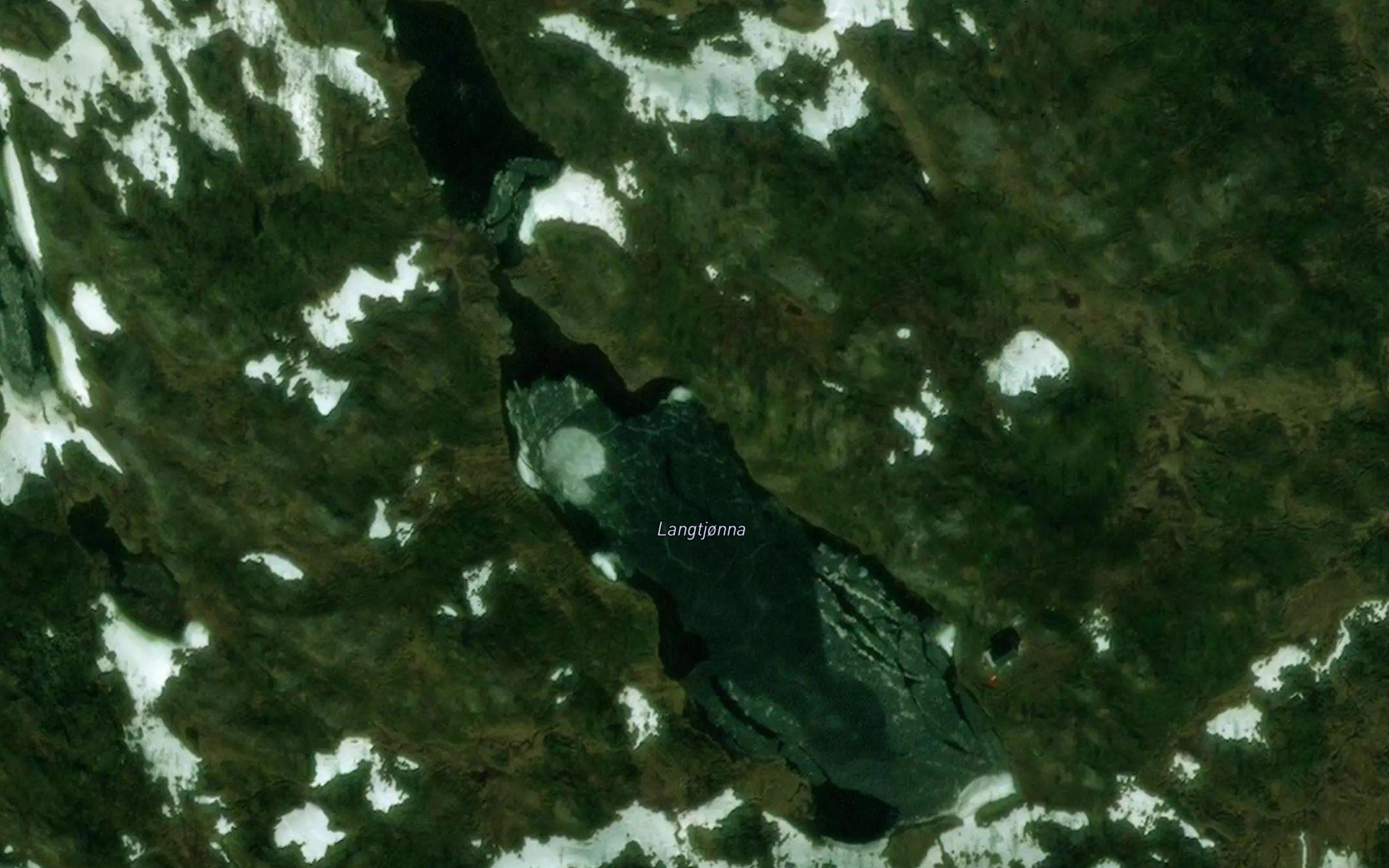 Langtjorna