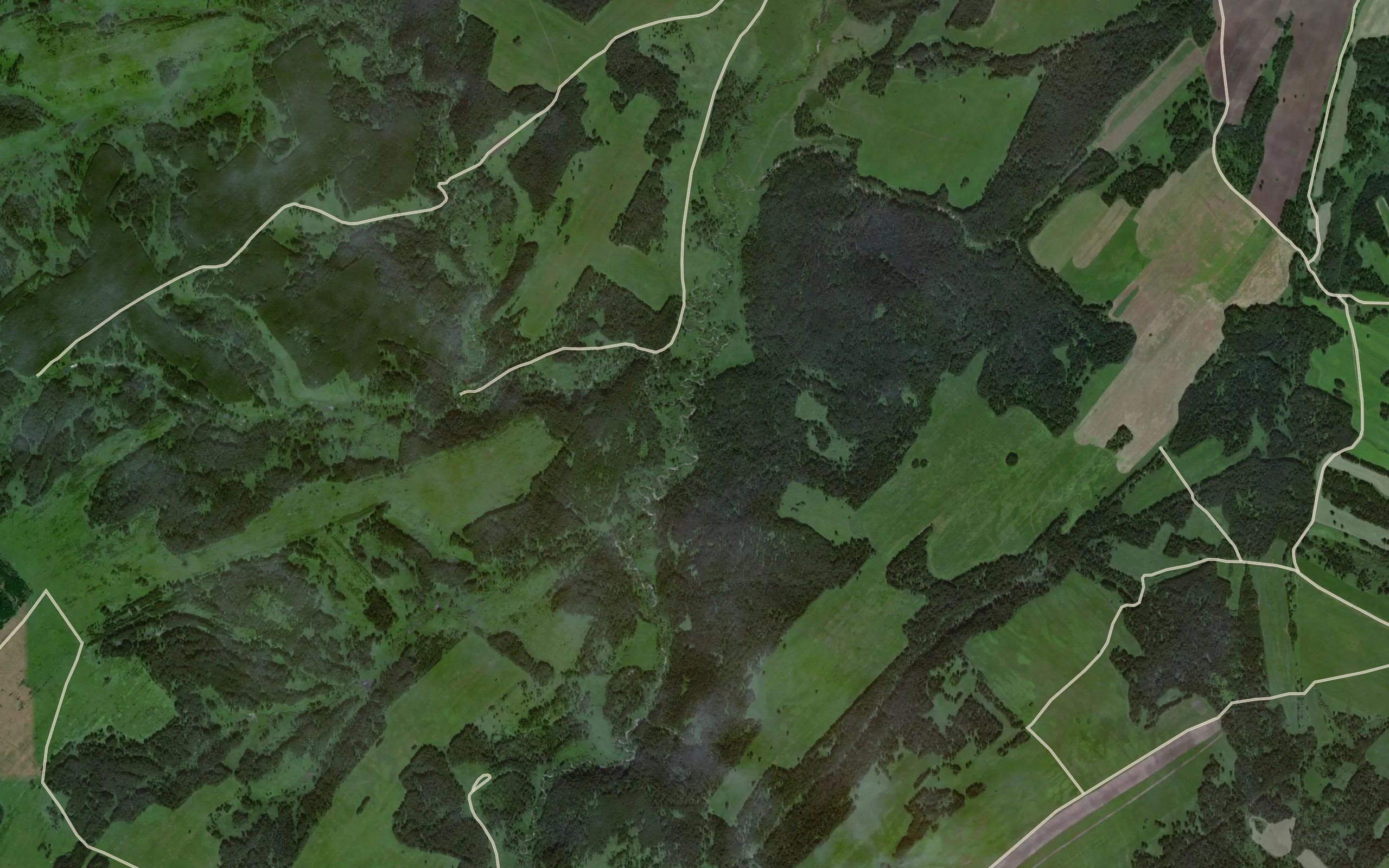 Osinovka
